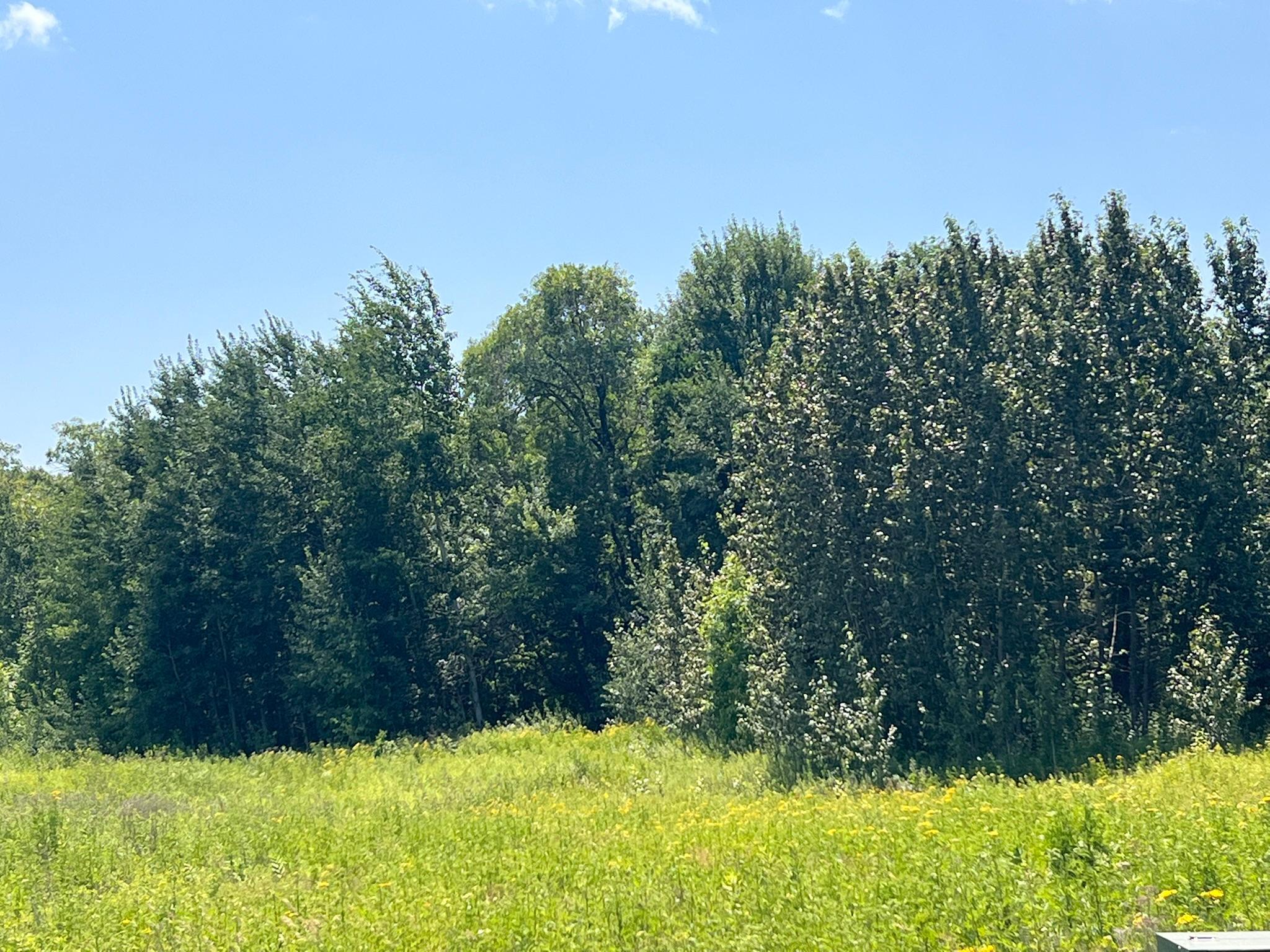 2nd image of 36200 Cr 39, Laporte, MN 56461 | MLS# 7113171