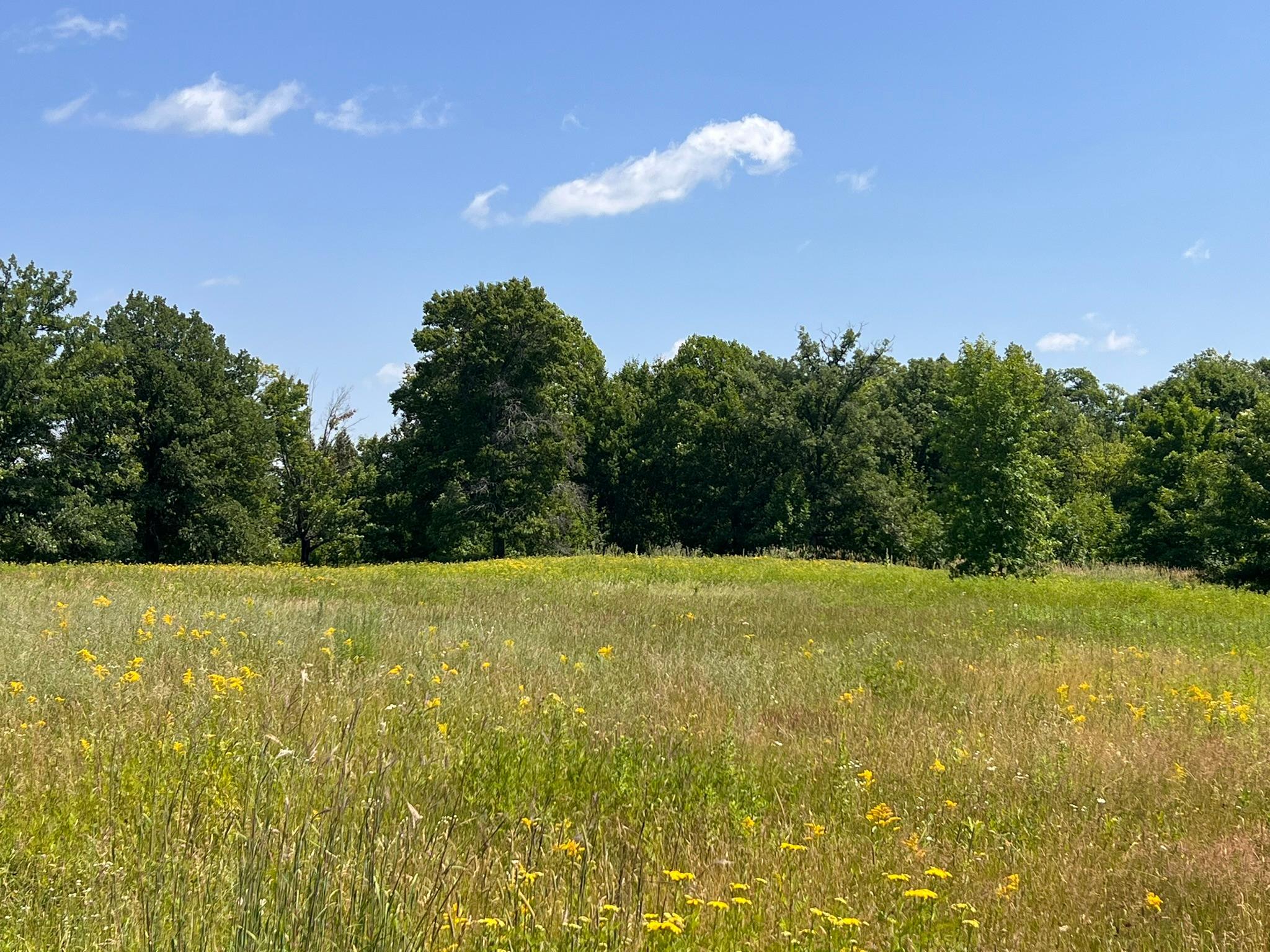 1st image of 36200 Cr 39, Laporte, MN 56461 | MLS# 7113171