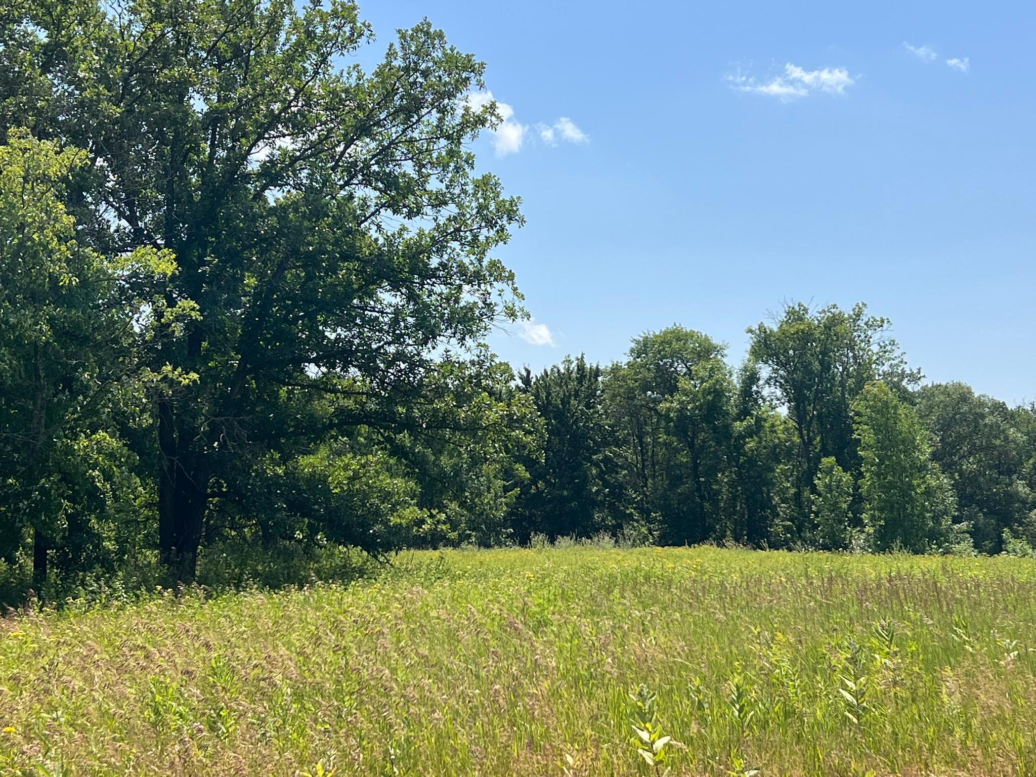 4th image of 36200 Cr-39, Laporte, MN 56461 | MLS# 7113171