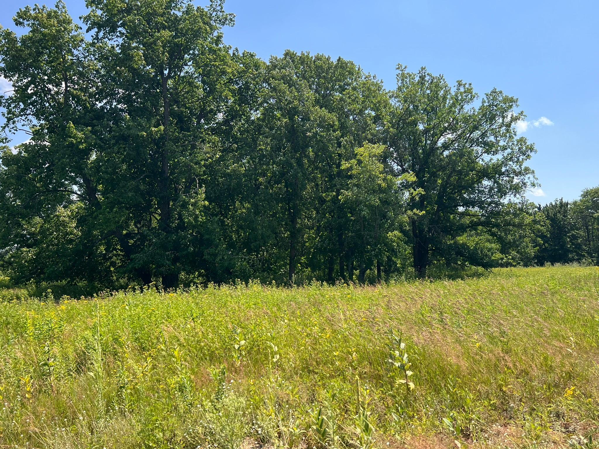 5th image of 36200 Cr-39, Laporte, MN 56461 | MLS# 7113171