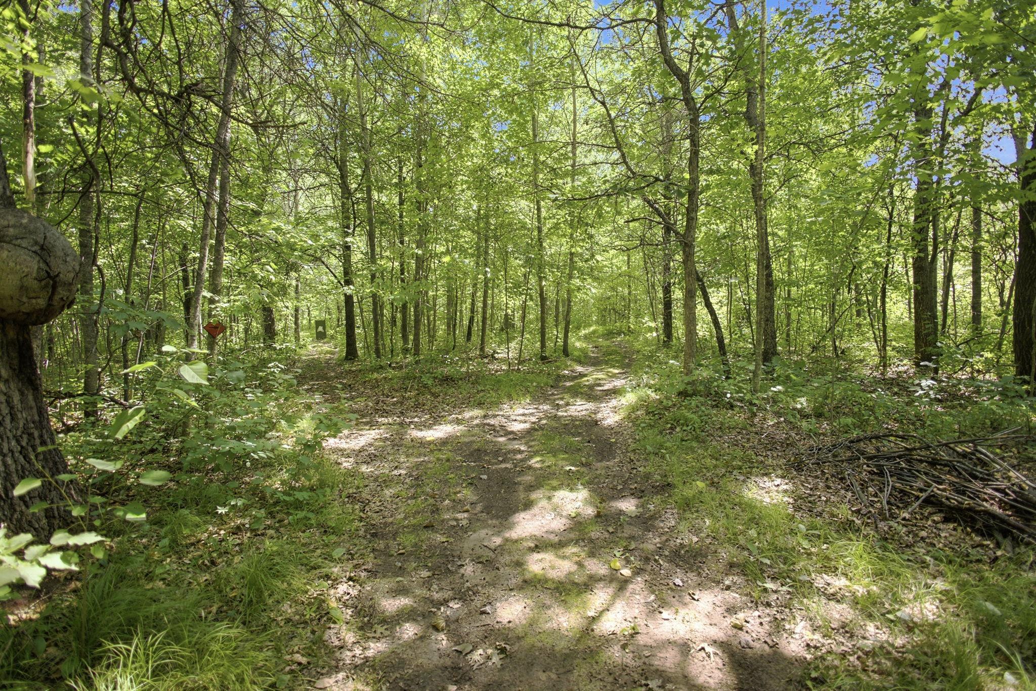 4th image of 26670 Foxes Landing Rd, Grantsburg, WI 54840 | MLS# 7113237