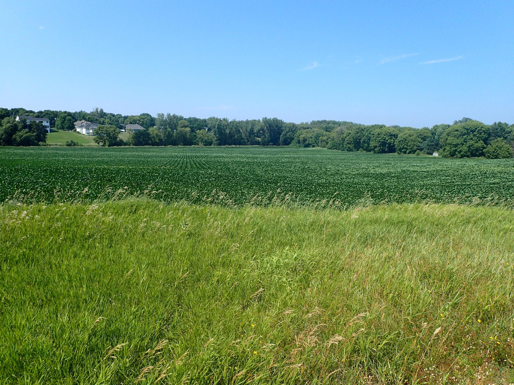 4th image of Xxx22 60Th St Sw, Cokato, MN 55321 | MLS# 7113297