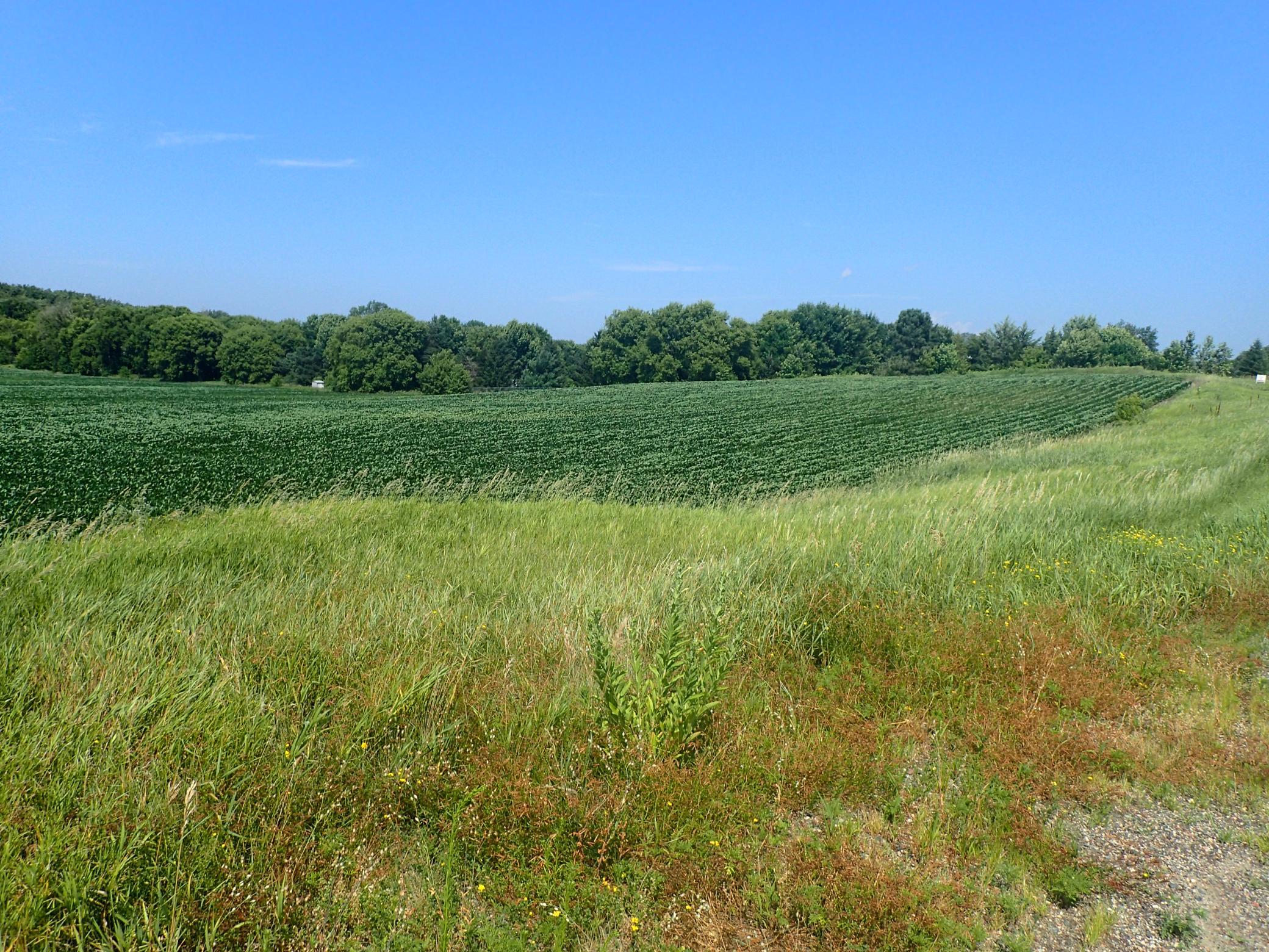 3rd image of Xxx22 60Th St Sw, Cokato, MN 55321 | MLS# 7113297