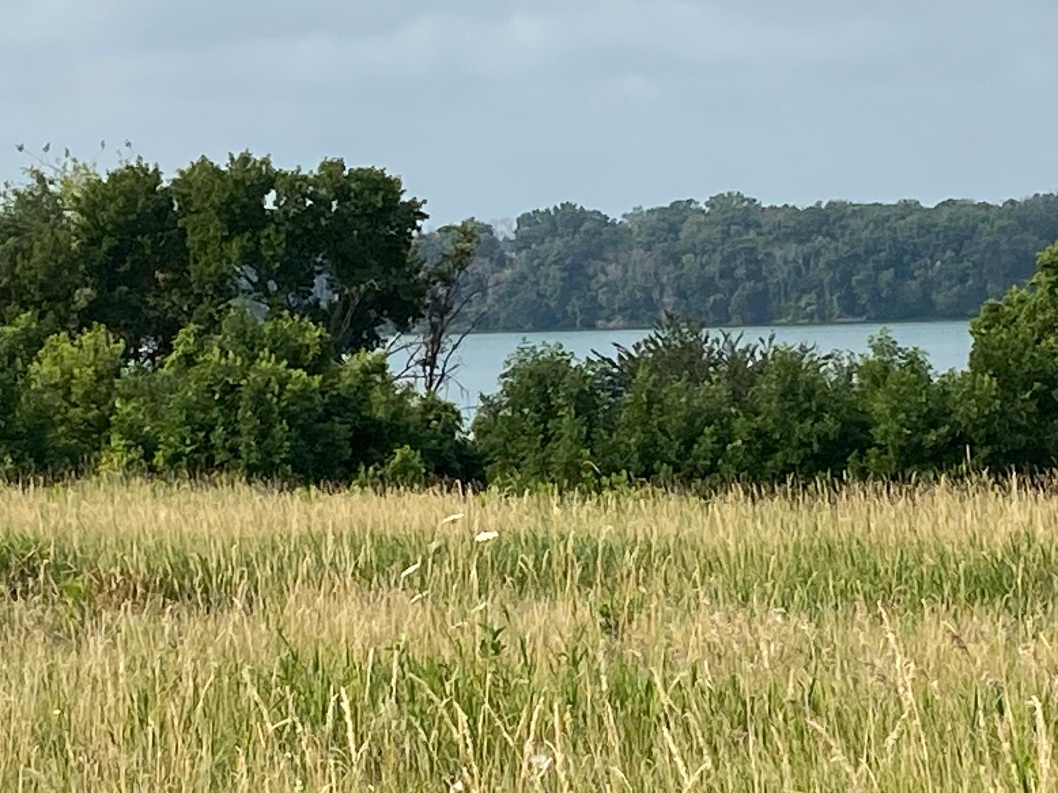 1st image of Tbd Tbd, Albert Lea, MN 56007 | MLS# 7113655