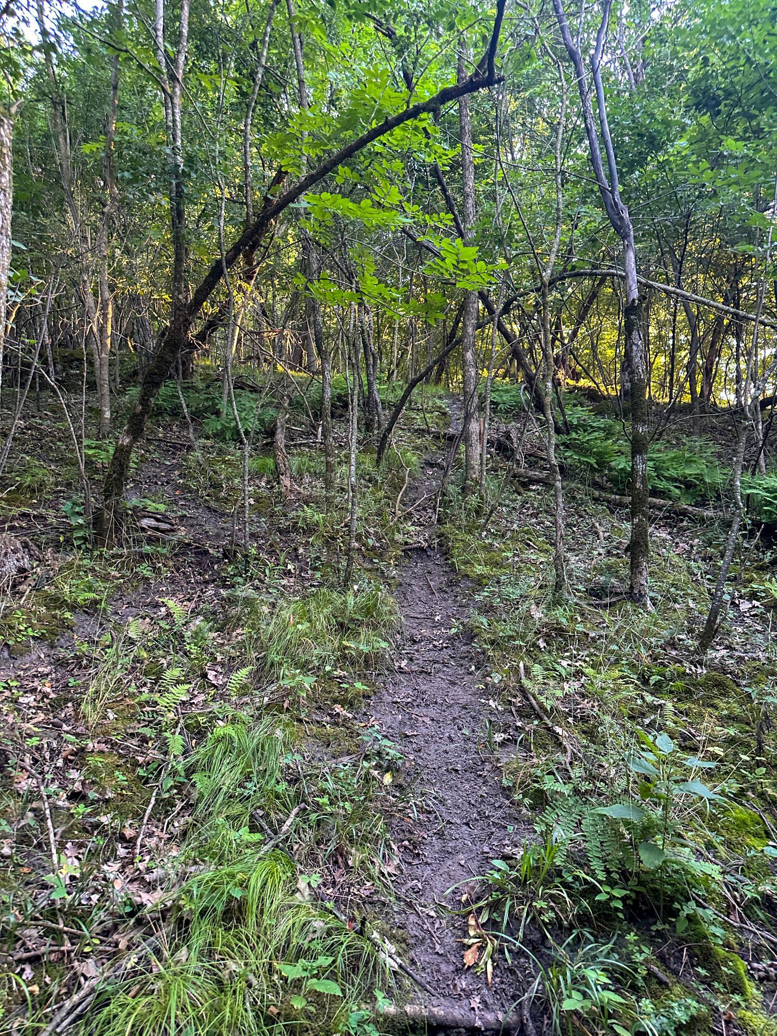45th image of Tbd Sunset Trl, Welch, MN 55089 | MLS# 7113827