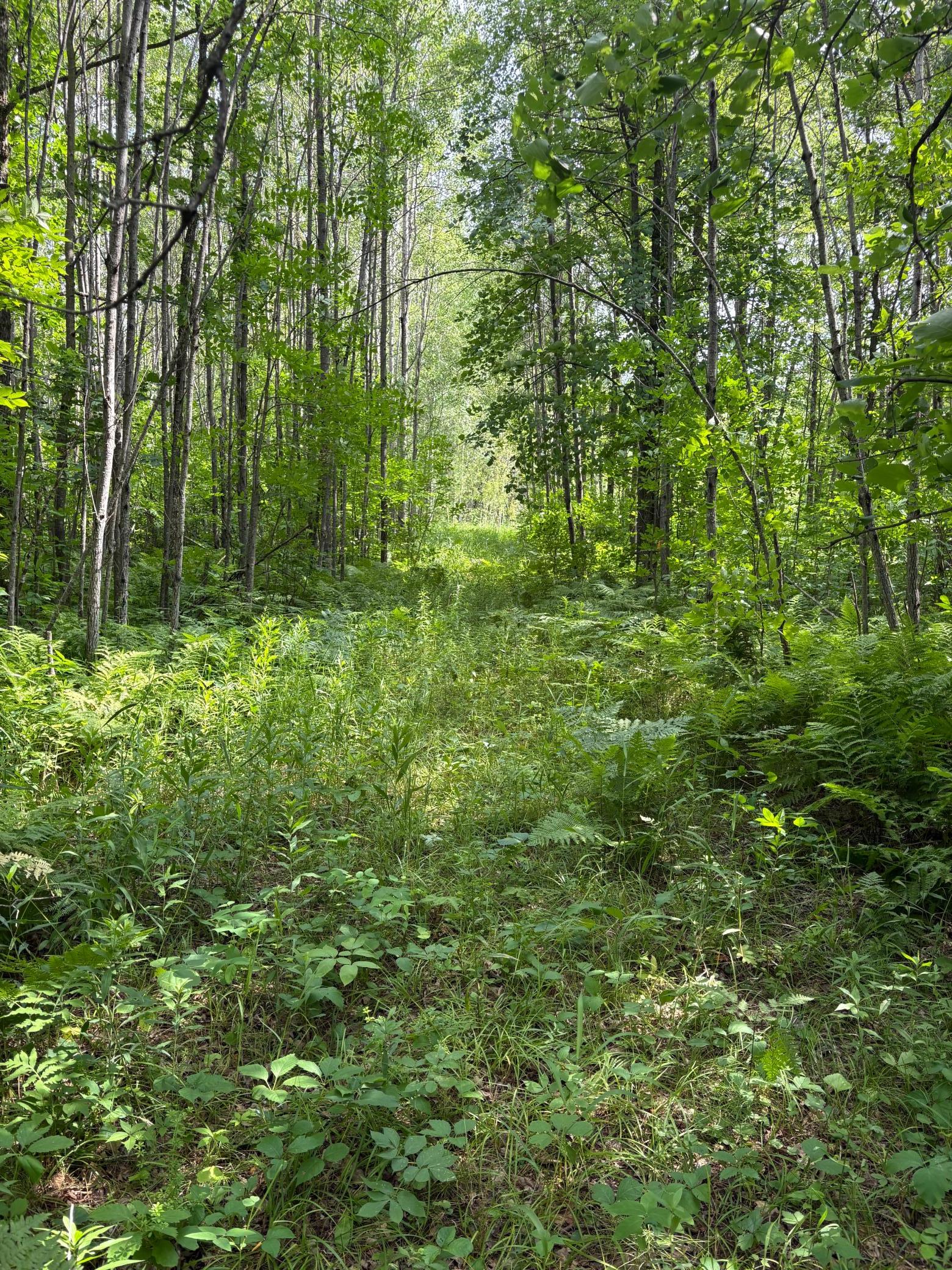 1st image of 560th Street, Palisade, MN 56469 | MLS# 7113837