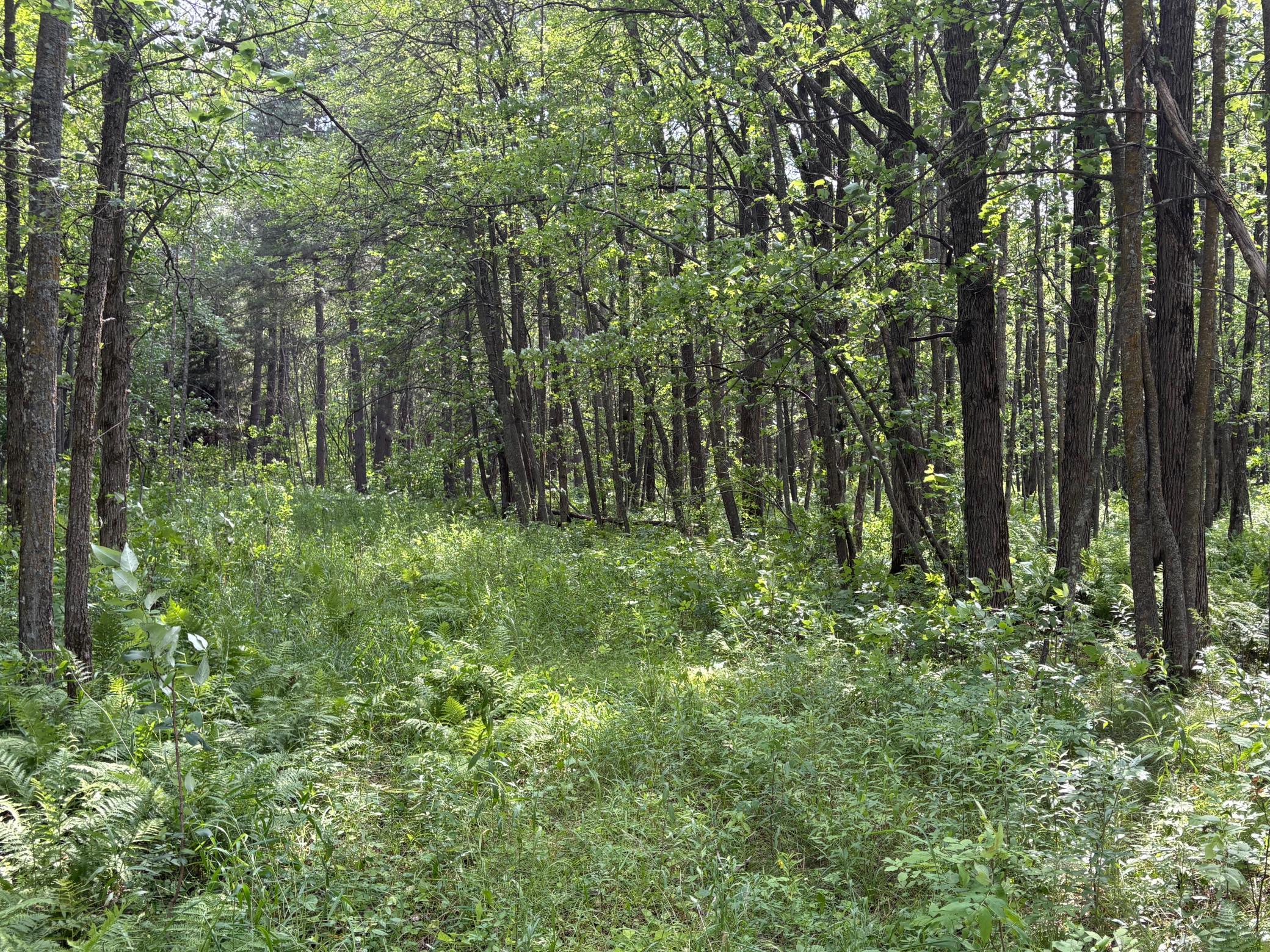 5th image of 560Th Street, Palisade, MN 56469 | MLS# 7113837