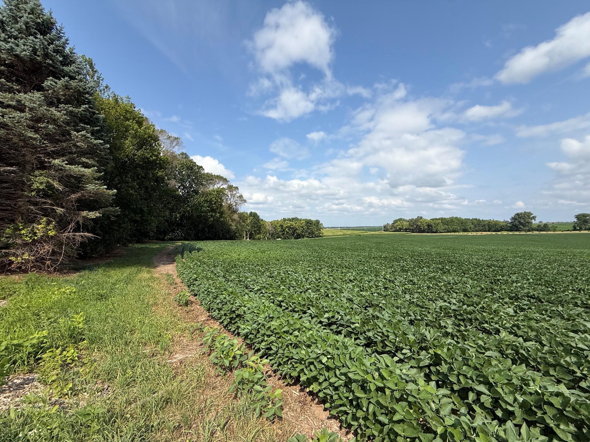 2nd image of Lot A Lehigh Road, Cottage Grove, MN 55016 | MLS# 7114156