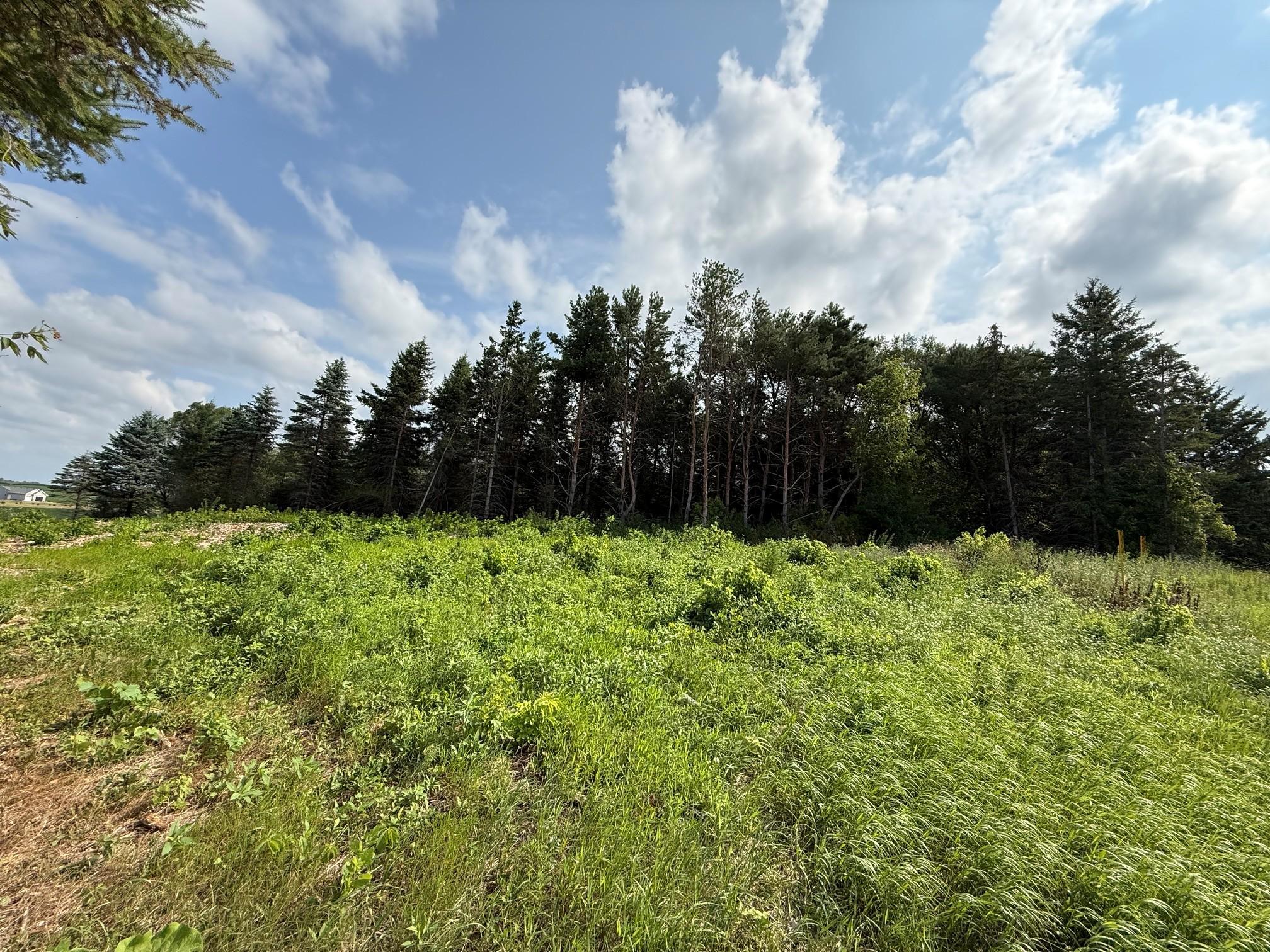 4th image of Lot B Lehigh Road, Cottage Grove, MN 55016 | MLS# 7114218