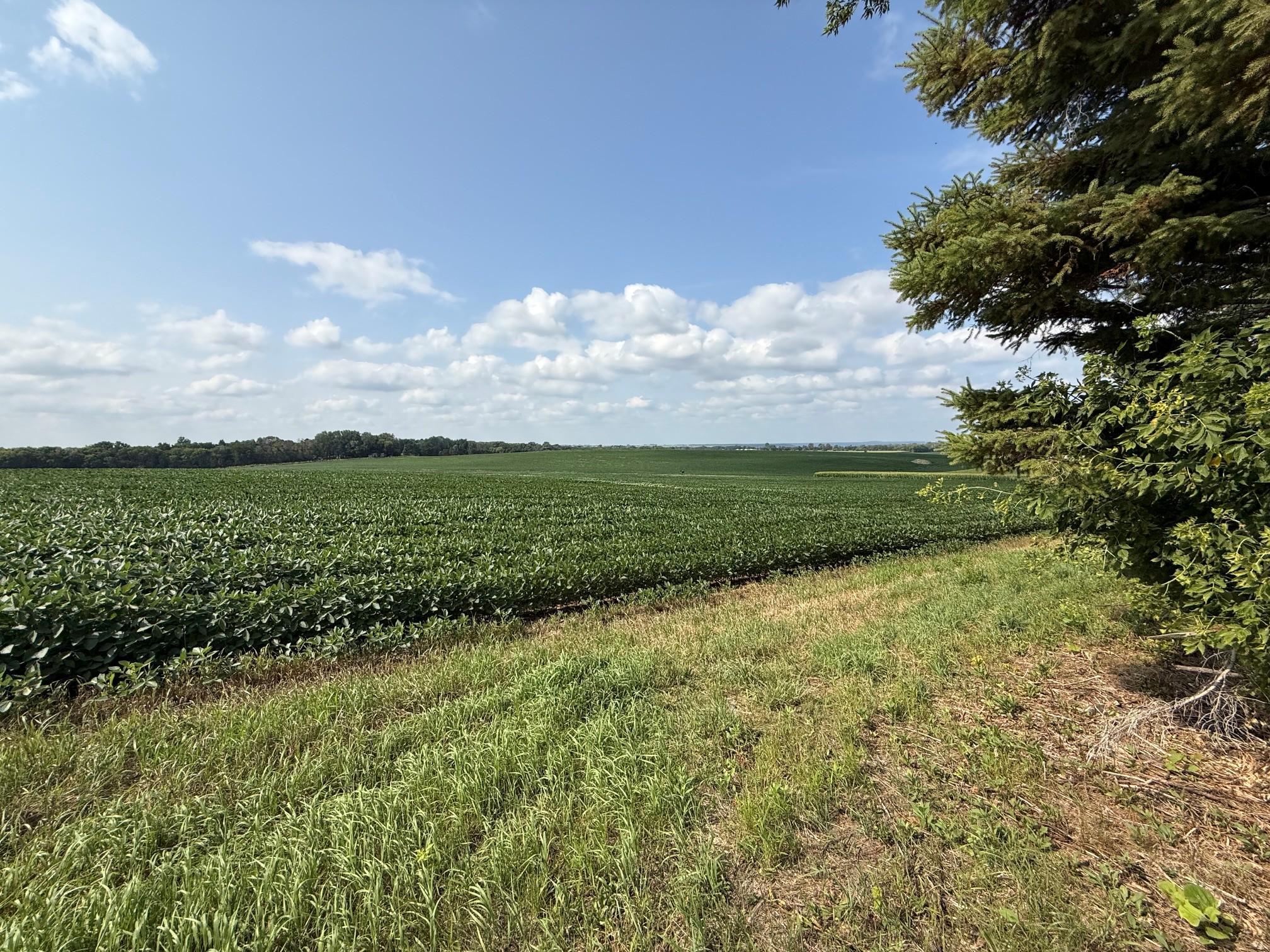 3rd image of Lot B Lehigh Road, Cottage Grove, MN 55016 | MLS# 7114218
