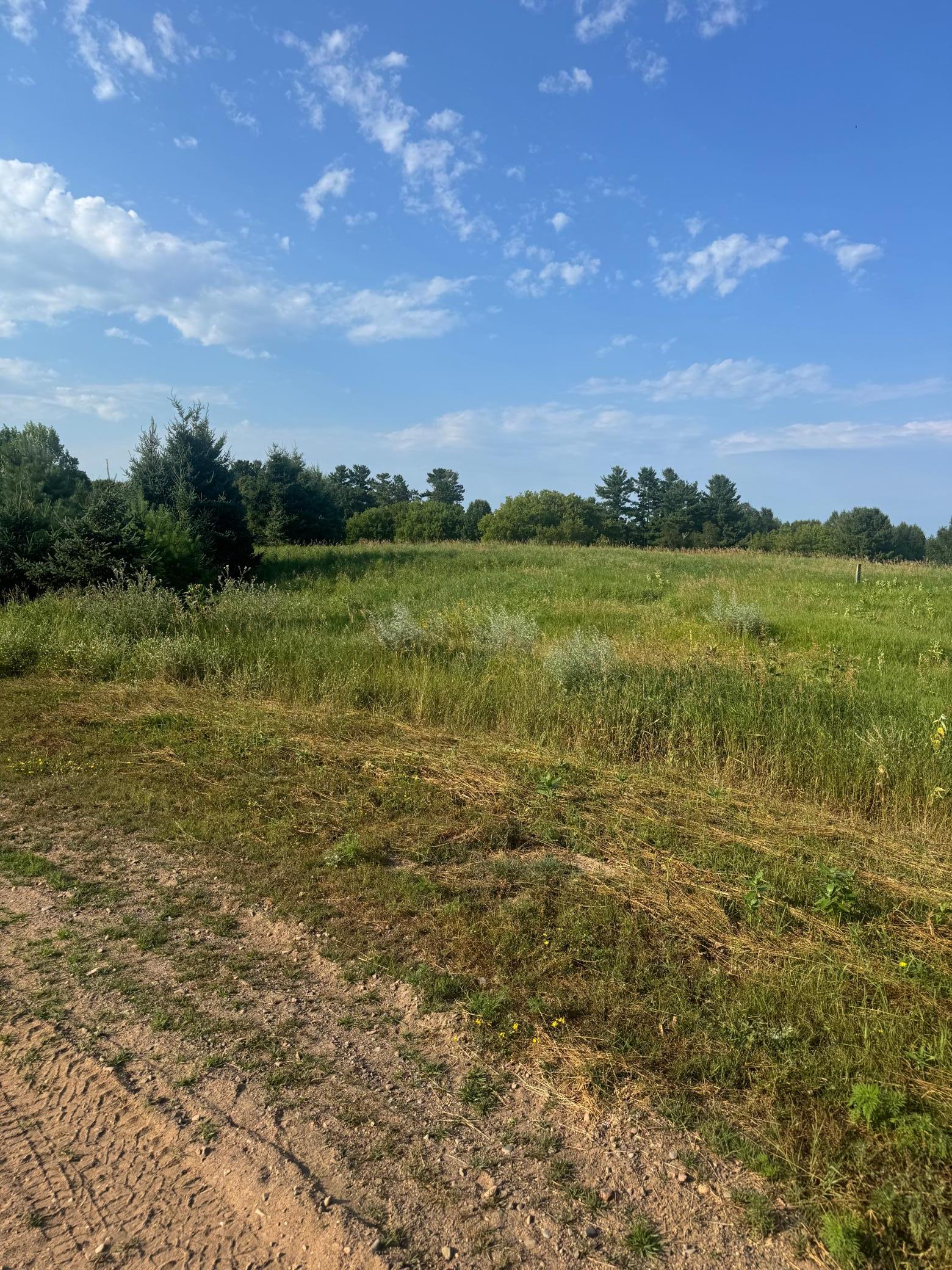 3rd image of Tbd 256Th Lane, Aitkin, MN 56431 | MLS# 7114295