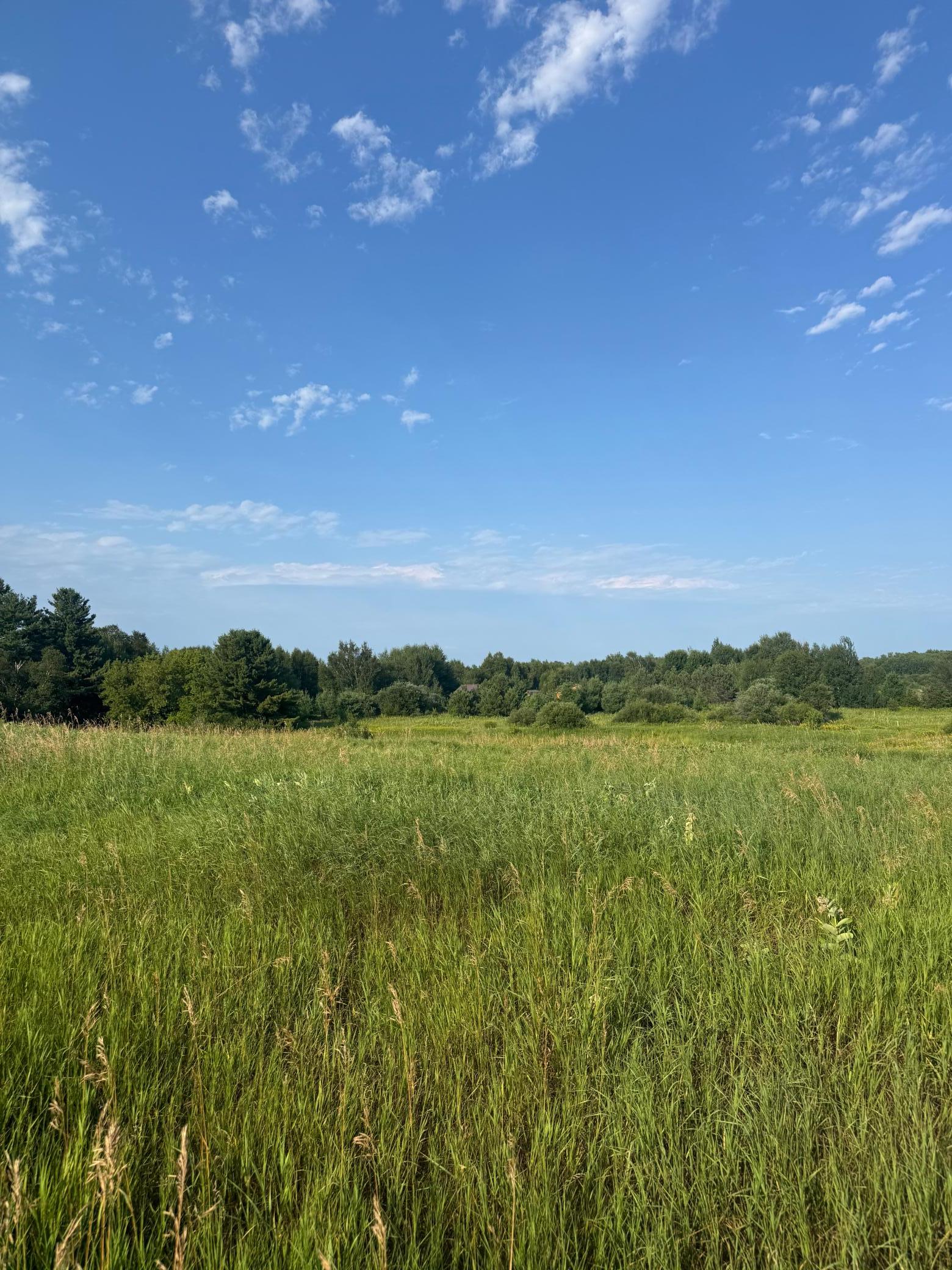 2nd image of Tbd 256th Lane, Aitkin, MN 56431 | MLS# 7114295