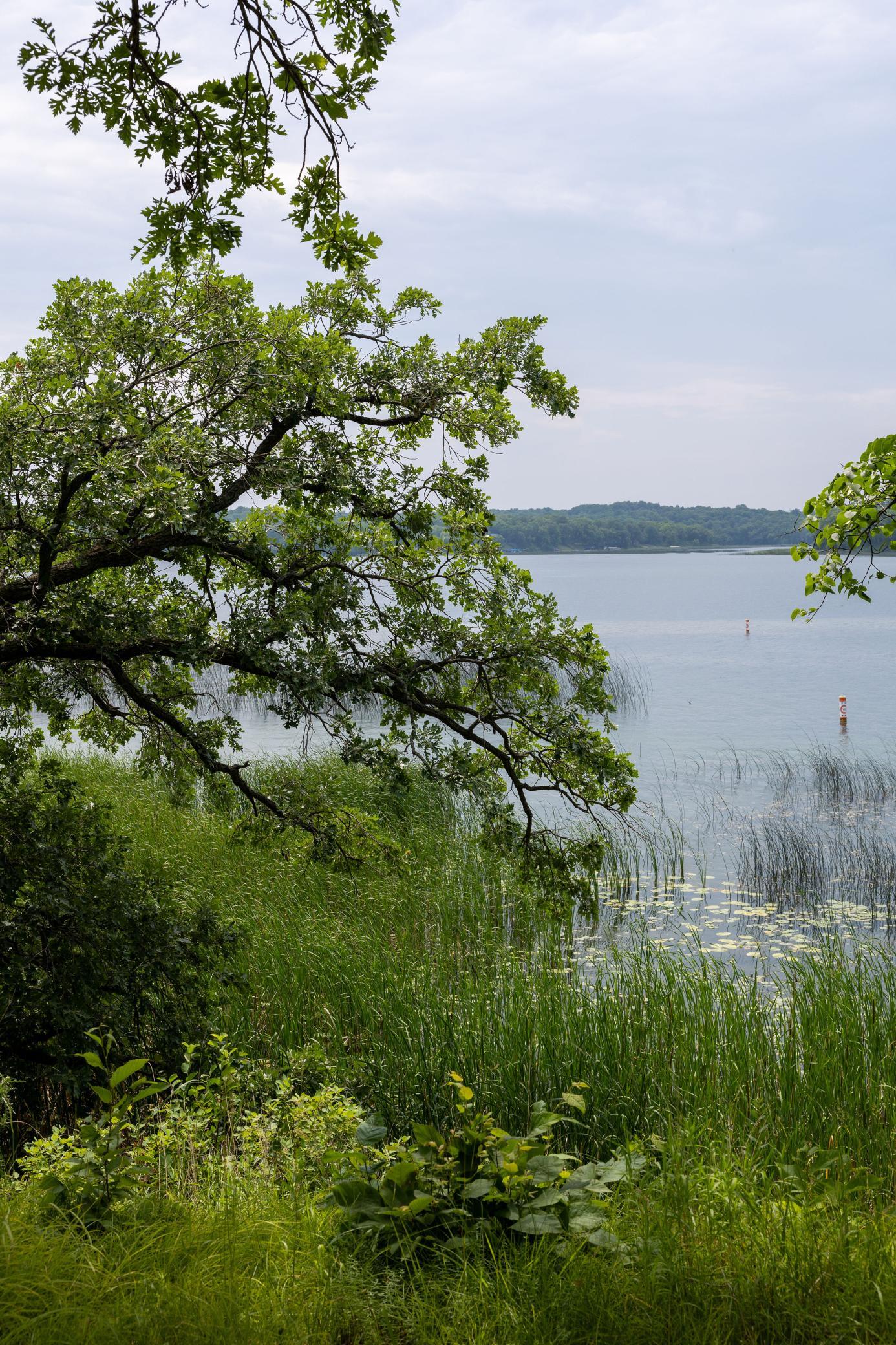 47th image of 49567 Fish Lake Rd, Pelican Rapids, MN 56572 | MLS# 7114593