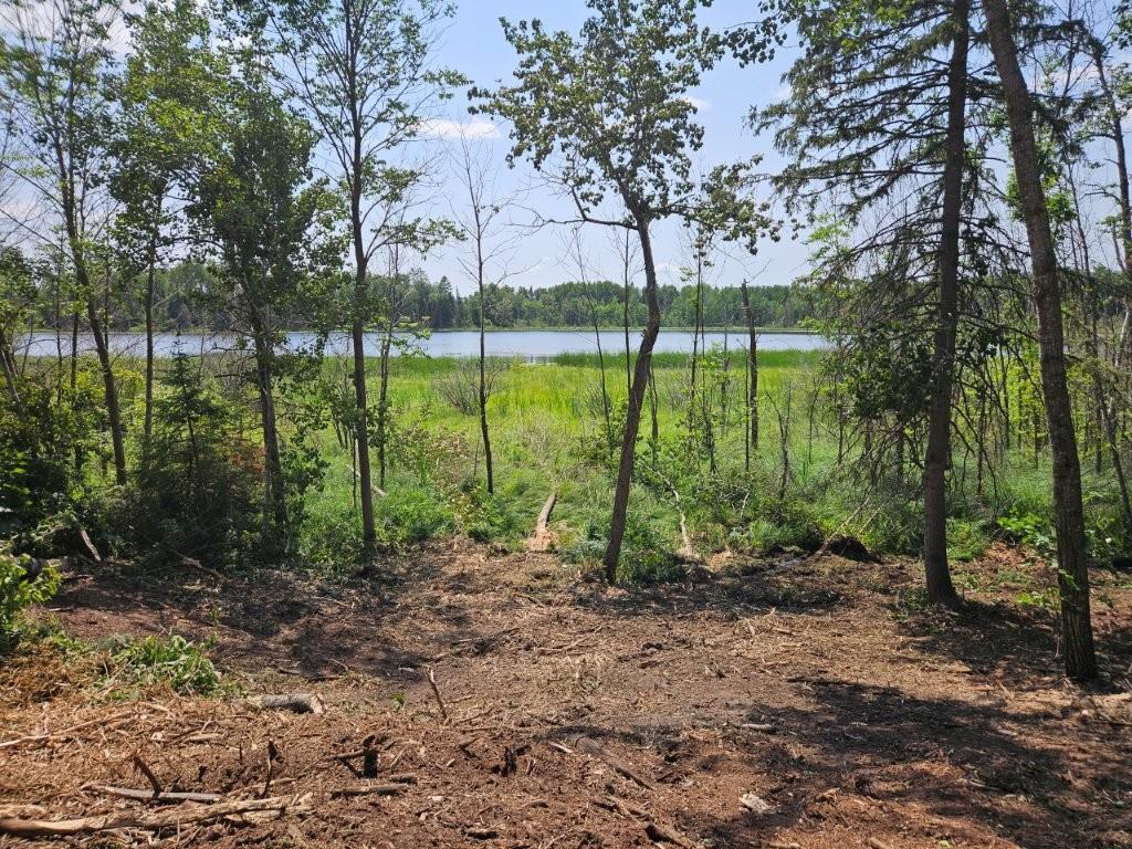 5th image of Tbd 330Th St, Shevlin, MN 56676 | MLS# 7115091