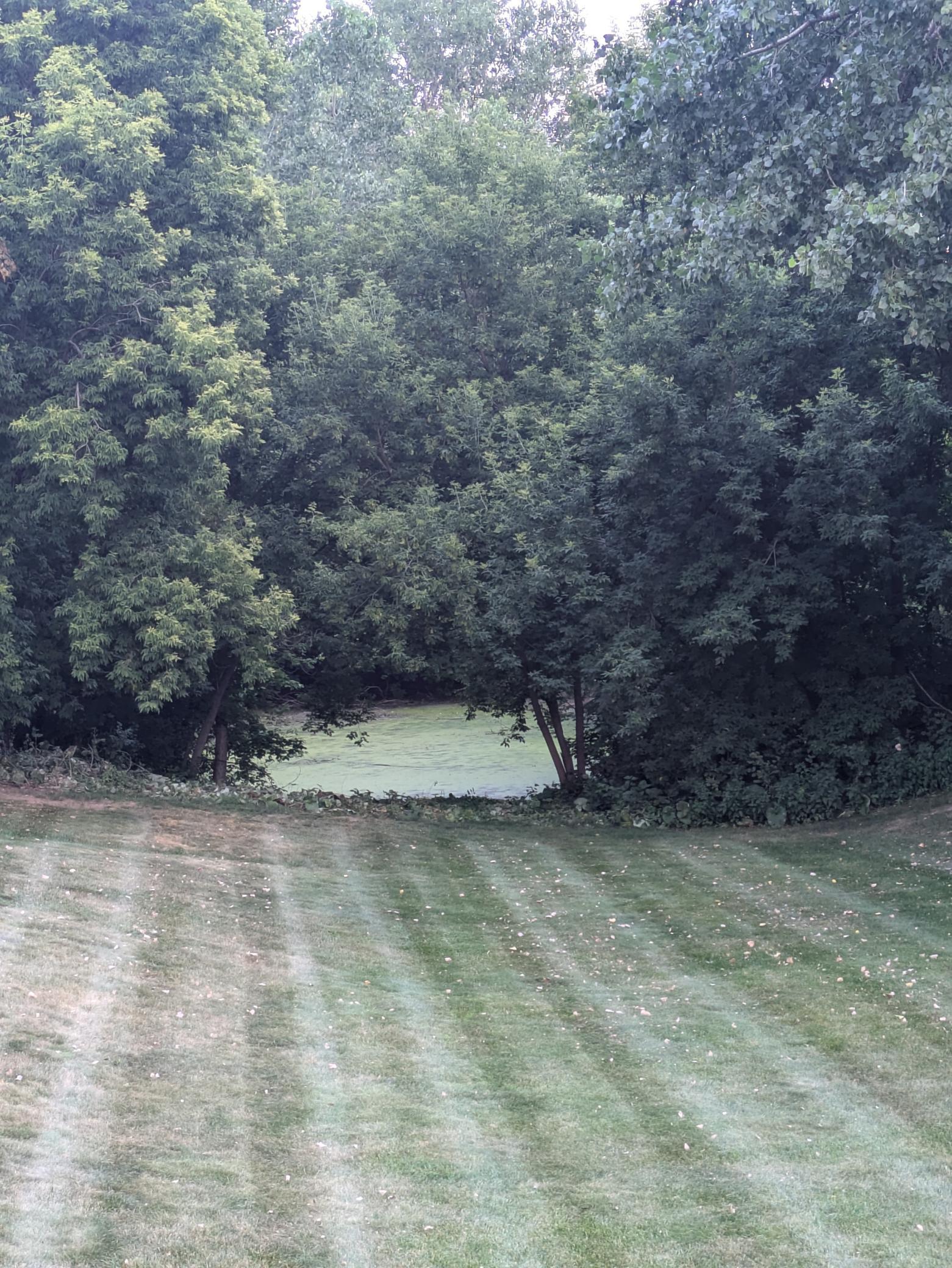 29th image of 7730 Blaine Ave, Inver Grove Heights, MN 55076 | MLS# 7115212