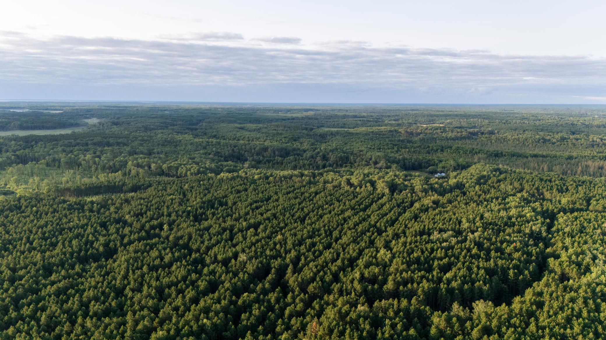 1st image of Nesw Forest Road 3845 Ne, Pennington, MN 56663 | MLS# 7115231