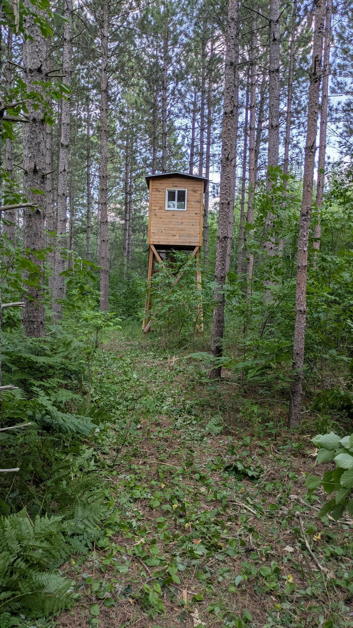4th image of Nesw Forest Road 3845 Ne, Pennington, MN 56663 | MLS# 7115231