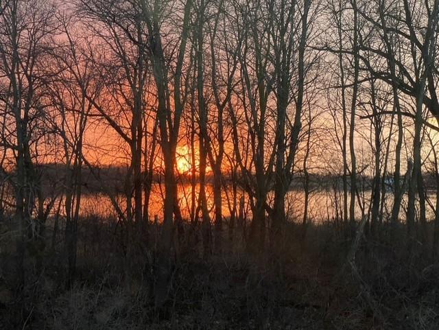 46th image of 6501 Carrigan Lake Dr, Waverly, MN 55390 | MLS# 7115554