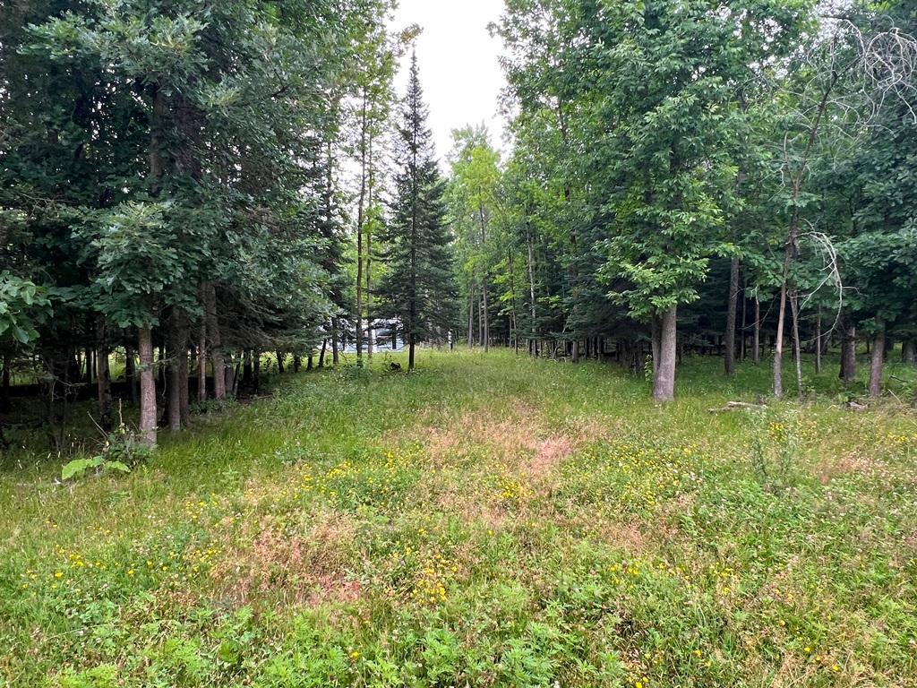 2nd image of 42228 County Road 234, Cohasset, MN 55721 | MLS# 7115570