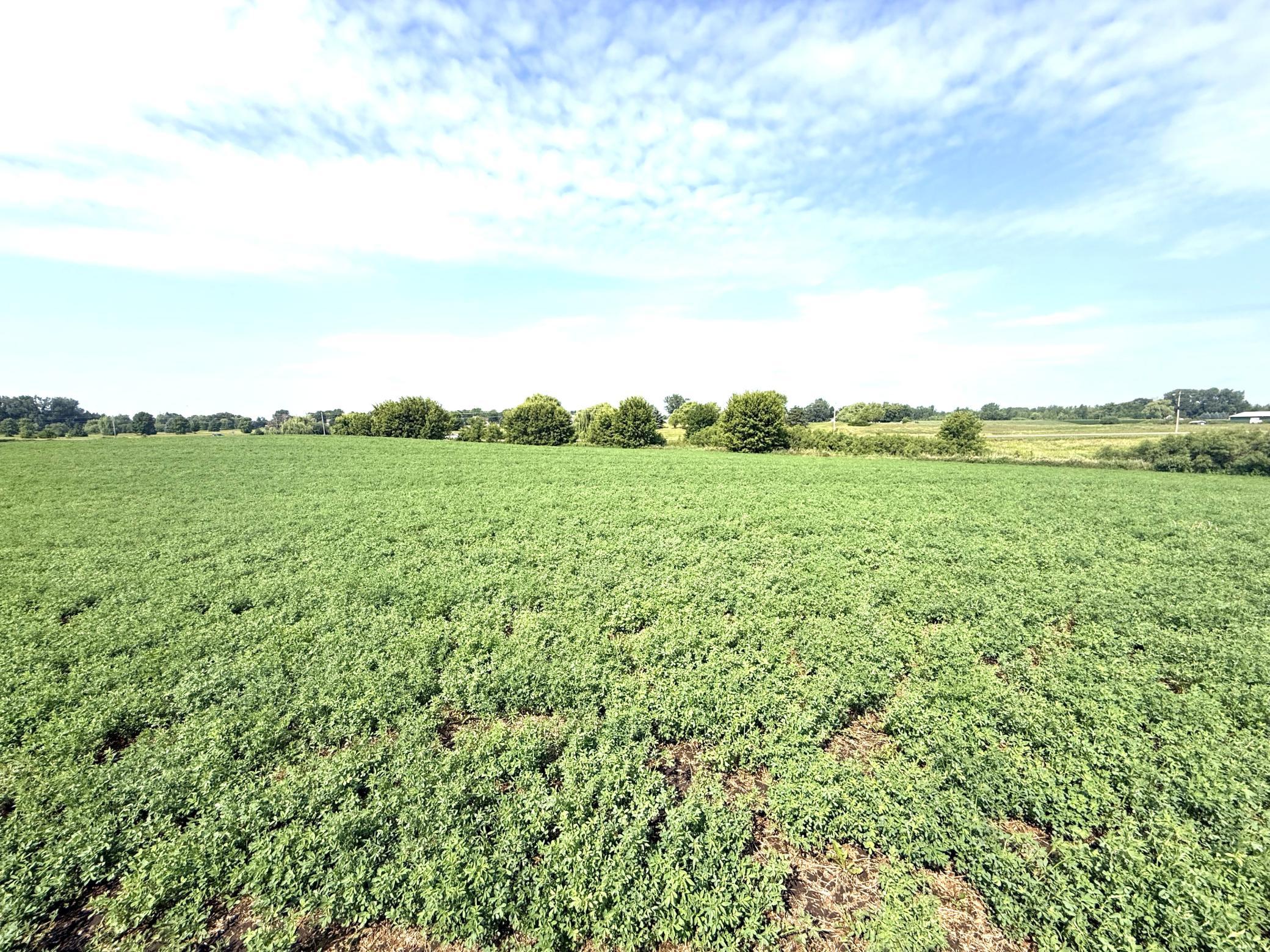 15th image of Tbd County Road 7, Howard Lake, MN 55349 | MLS# 7115593