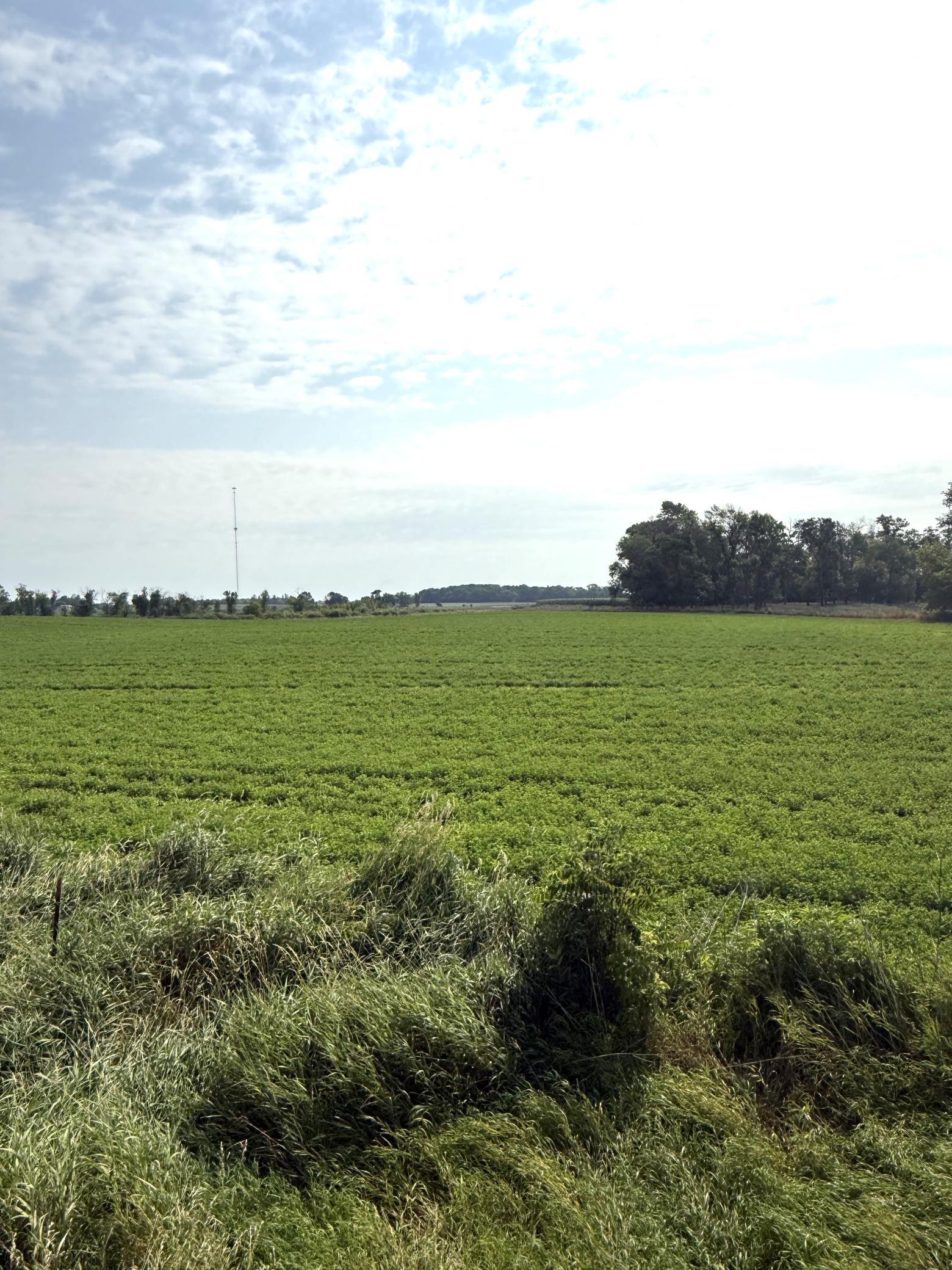 2nd image of Tbd County Road 7, Howard Lake, MN 55349 | MLS# 7115593