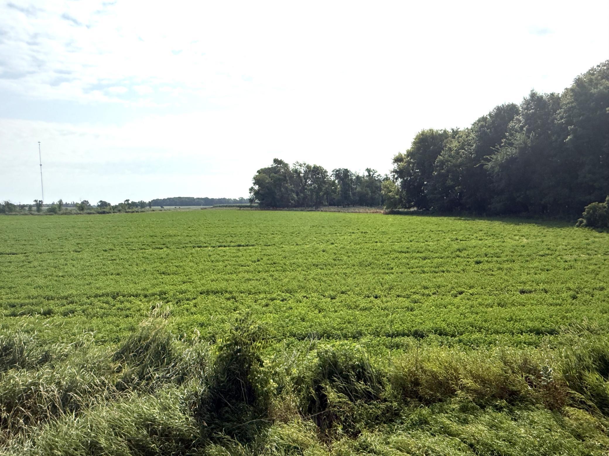 4th image of Tbd County Road 7, Howard Lake, MN 55349 | MLS# 7115593