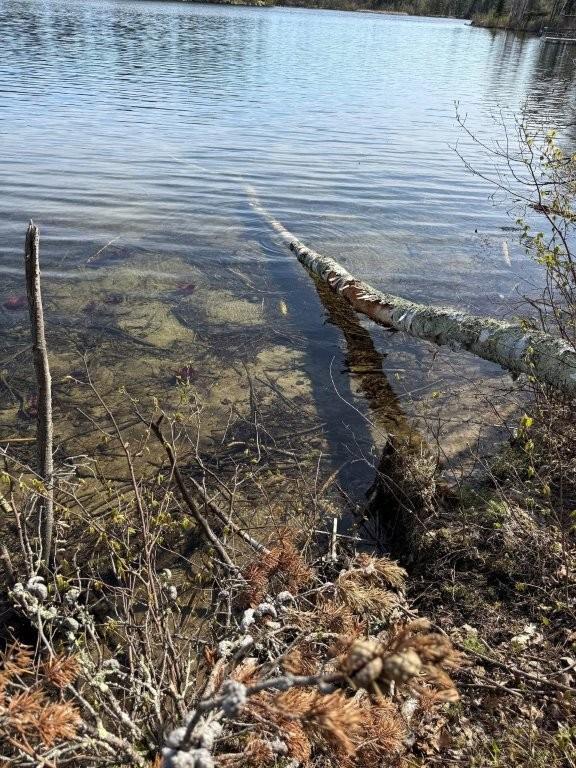 5th image of Tbd Power Dame Rd Ne, Bemidji, MN 56601 | MLS# 7115695