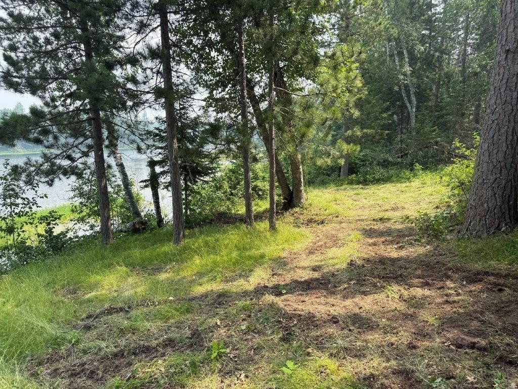 3rd image of Tbd Power Dame Rd Ne, Bemidji, MN 56601 | MLS# 7115695