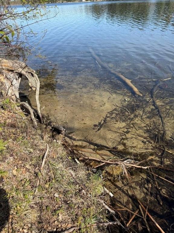 2nd image of Tbd Power Dame Rd Ne, Bemidji, MN 56601 | MLS# 7115695