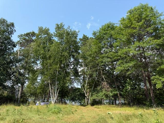 16th image of Tbd Power Dame Rd Ne, Bemidji, MN 56601 | MLS# 7115695