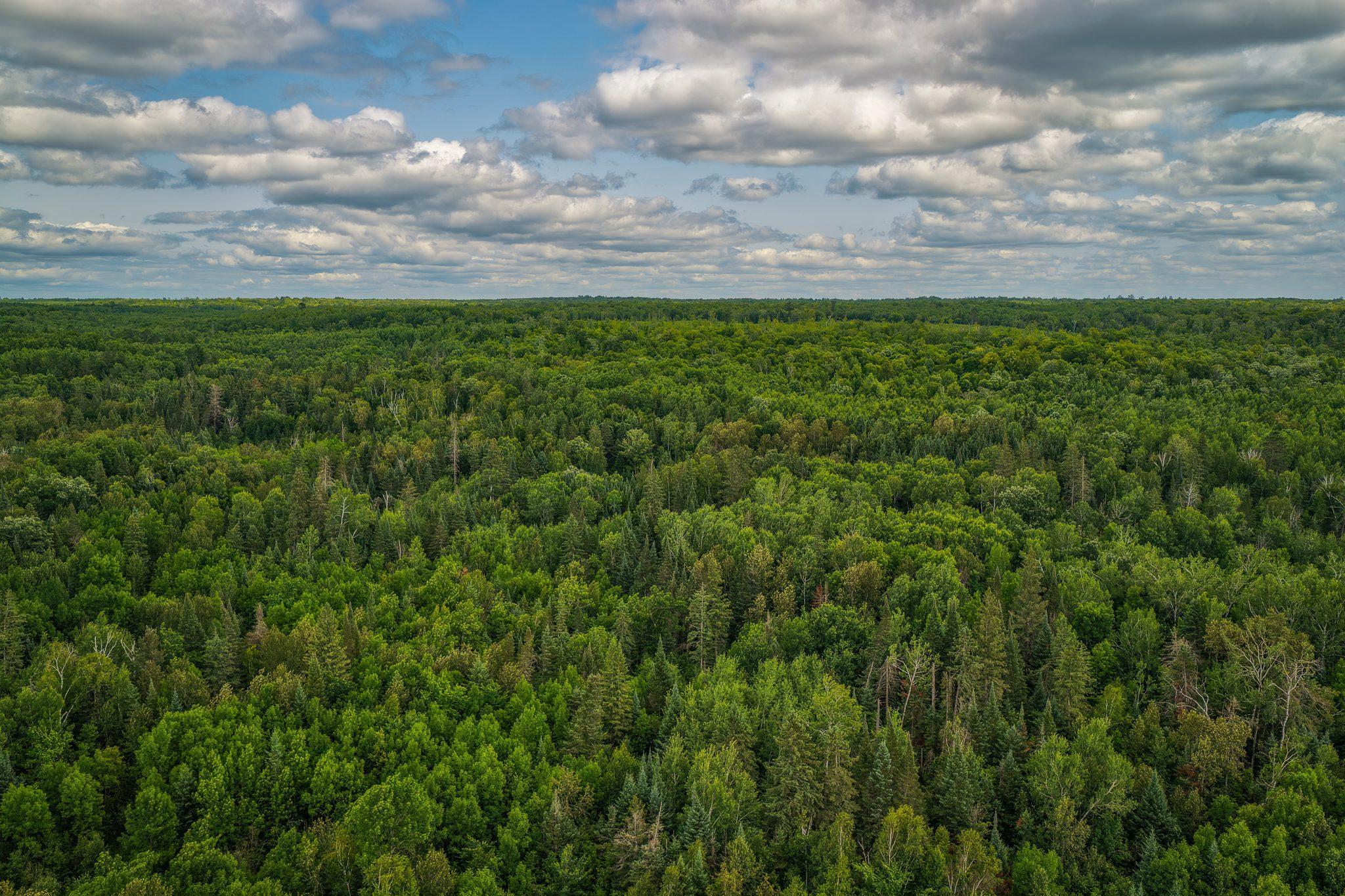 1st image of Tbd 219th Ave, Bemidji, MN 56601 | MLS# 7115730