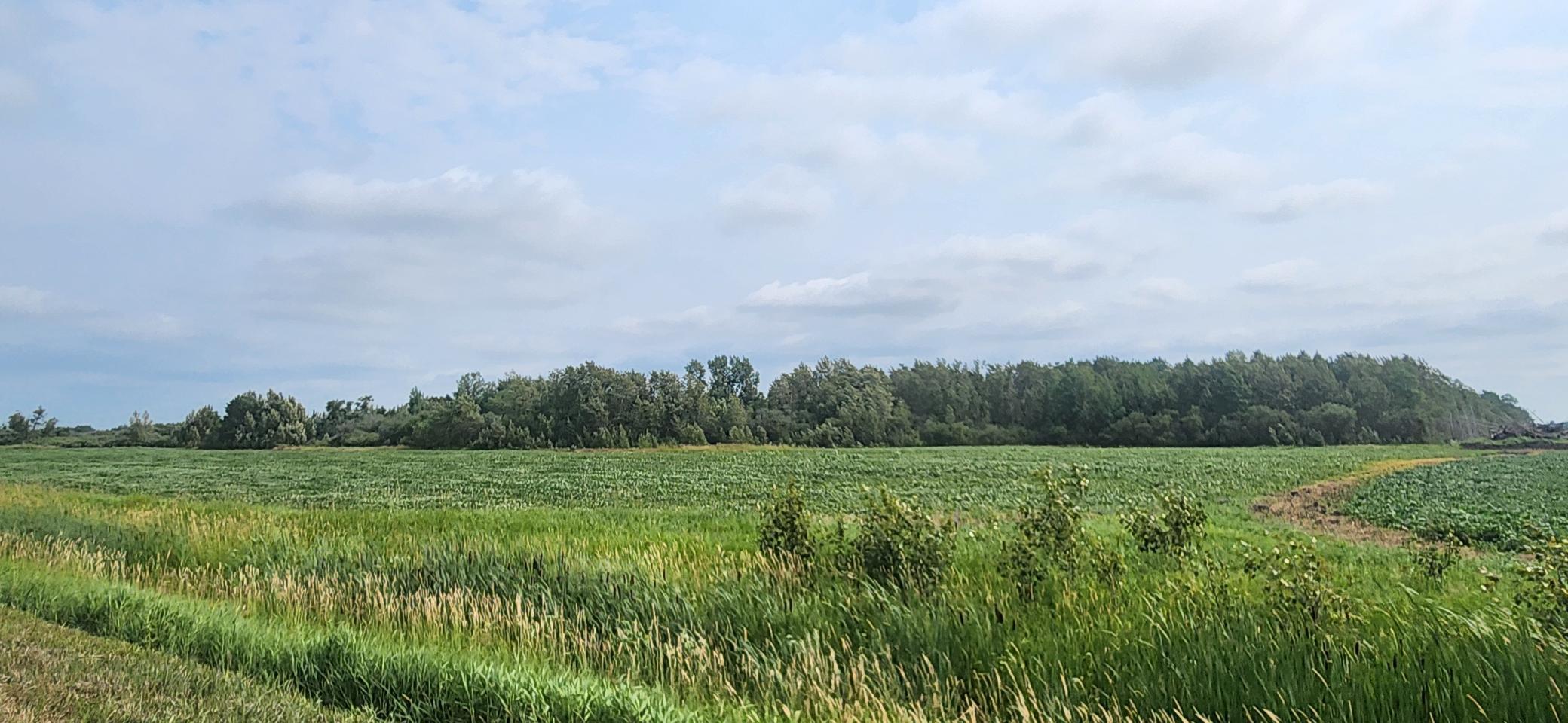 1st image of Tbd 330th Ave Ne, Goodridge, MN 56725 | MLS# 7115848