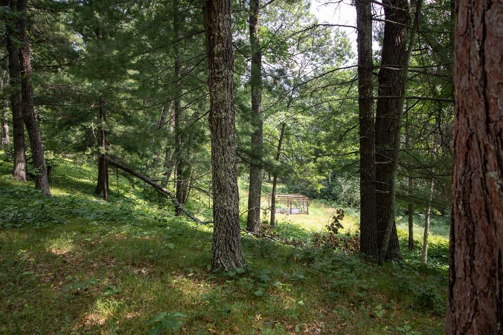 39th image of 1444 Plummer Point Rd Ne, Outing, MN 56662 | MLS# 7116000