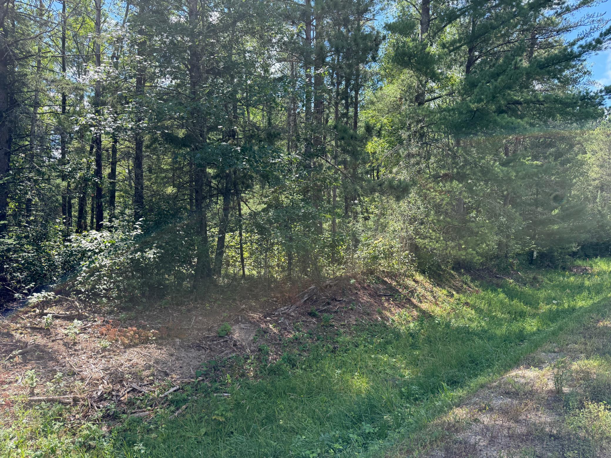 2nd image of 28393 County 93, Laporte, MN 56461 | MLS# 7116050