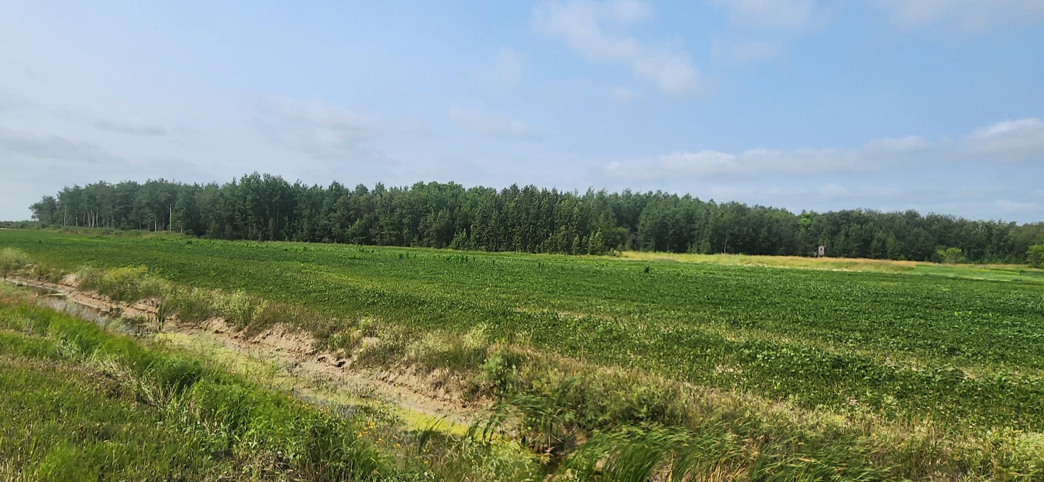 1st image of Tbd 340th Ave Ne, Goodridge, MN 56725 | MLS# 7116074