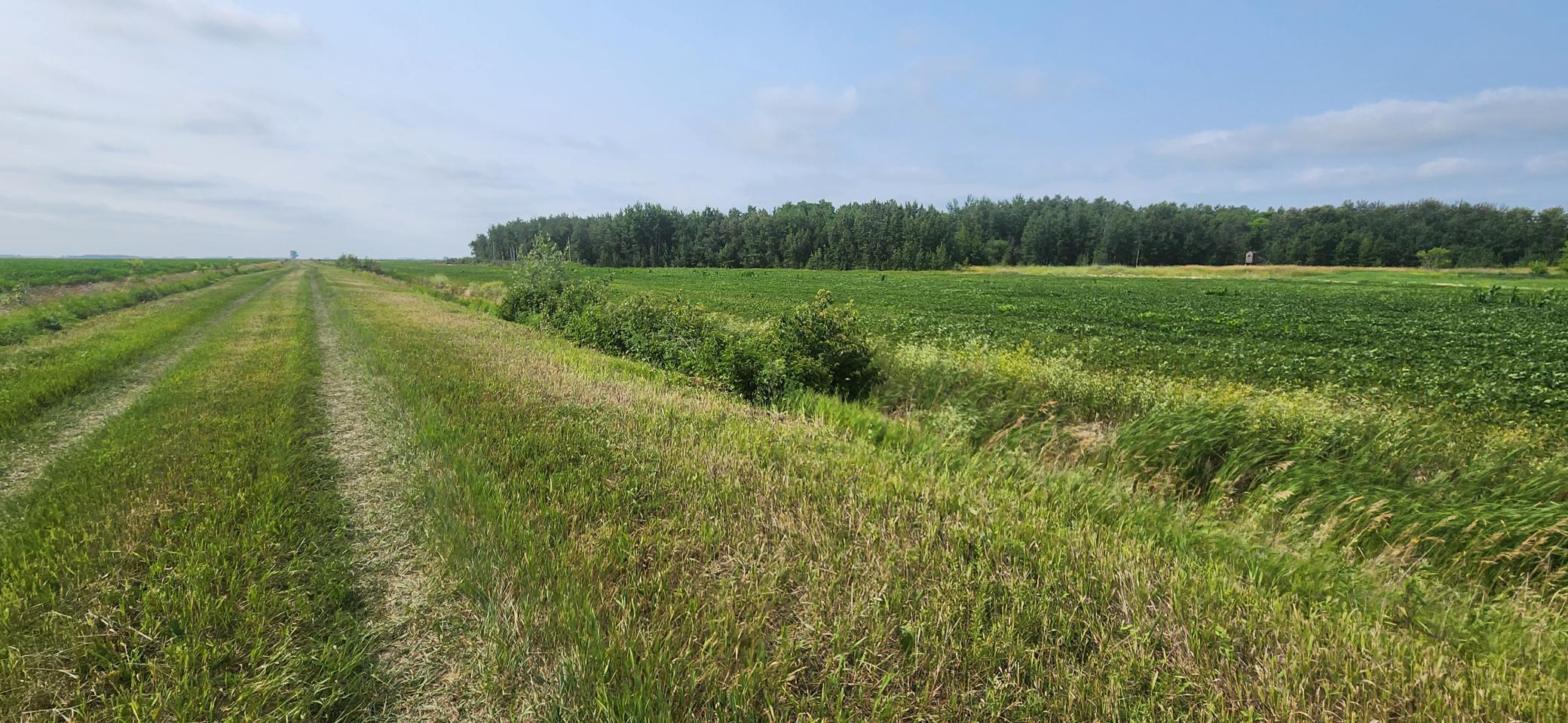 4th image of Tbd 340Th Ave Ne, Goodridge, MN 56725 | MLS# 7116074