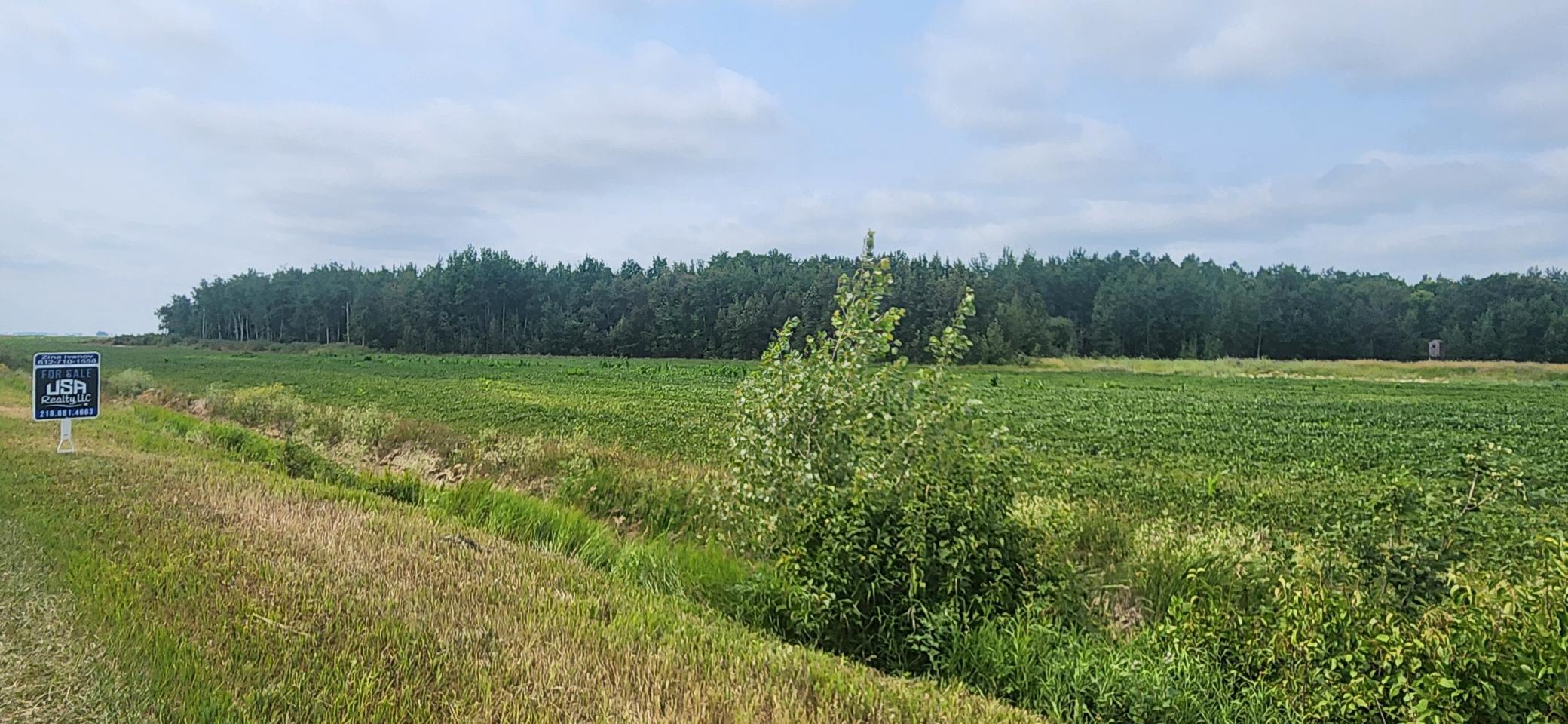 3rd image of Tbd 340Th Ave Ne, Goodridge, MN 56725 | MLS# 7116074