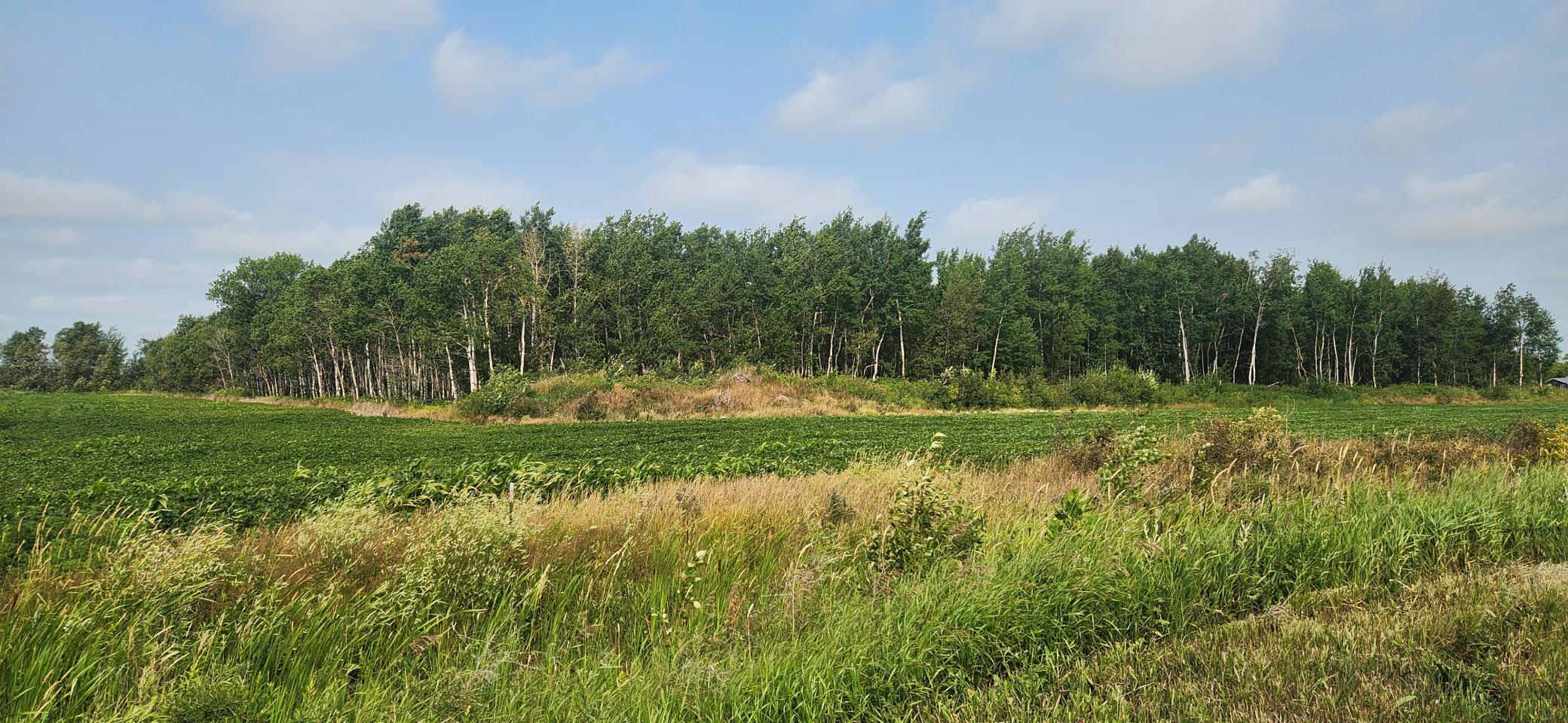 2nd image of Tbd 340th Ave Ne, Goodridge, MN 56725 | MLS# 7116074