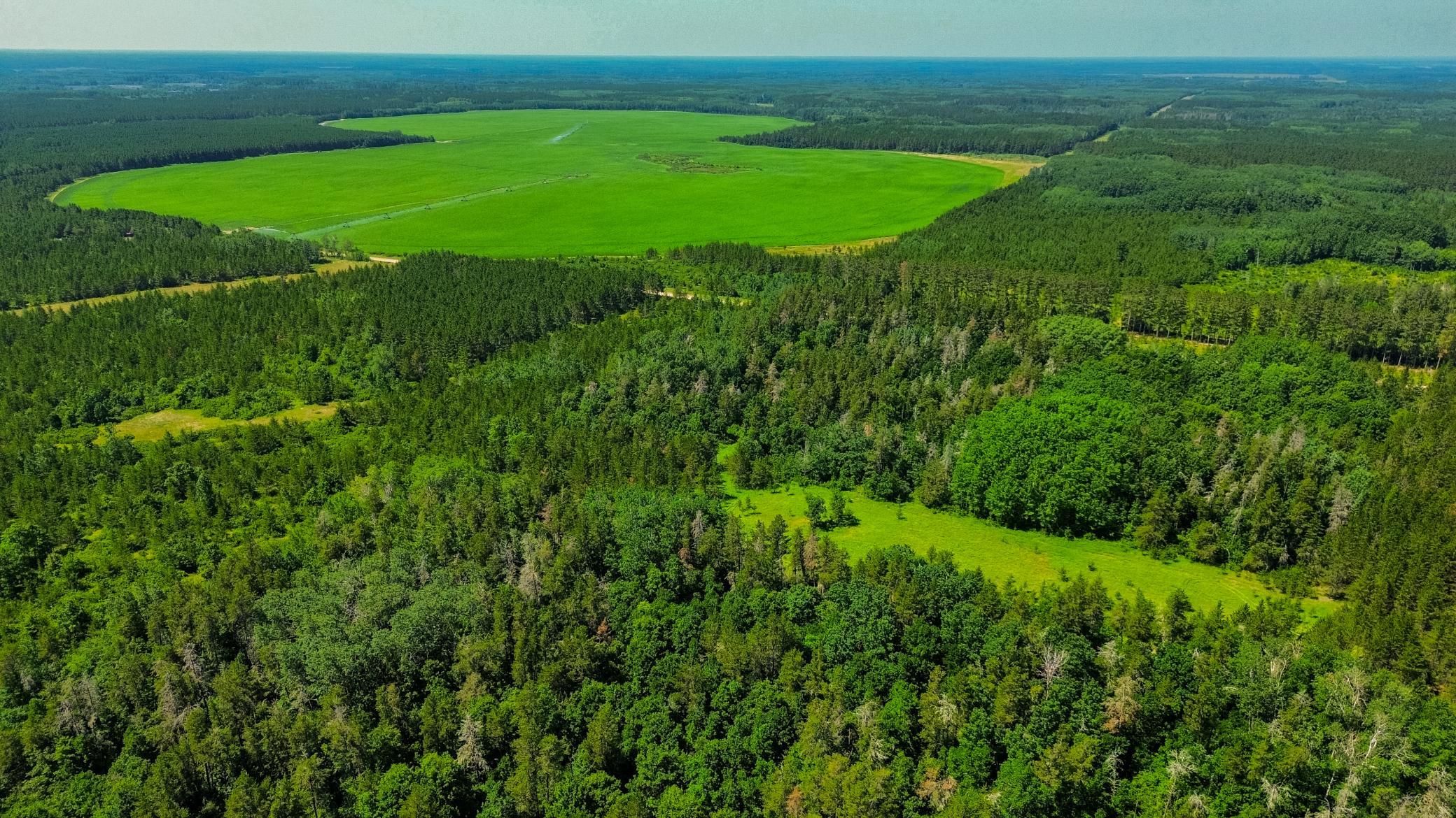 5th image of Tract 3 - Tbd 259Th Ave, Menahga, MN 56464 | MLS# 7116326