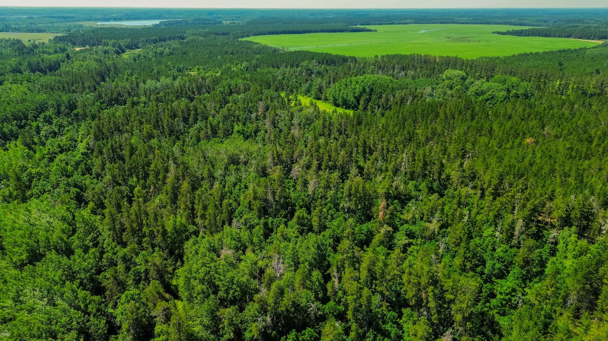 4th image of Tract 3 - Tbd 259Th Ave, Menahga, MN 56464 | MLS# 7116326