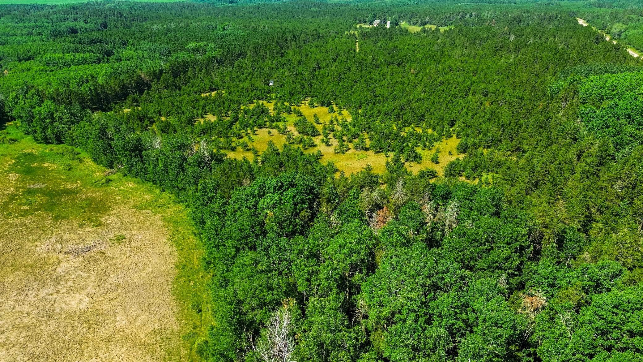 5th image of Tract 1 - Tbd Hubbard Line Rd, Menahga, MN 56464 | MLS# 7116329
