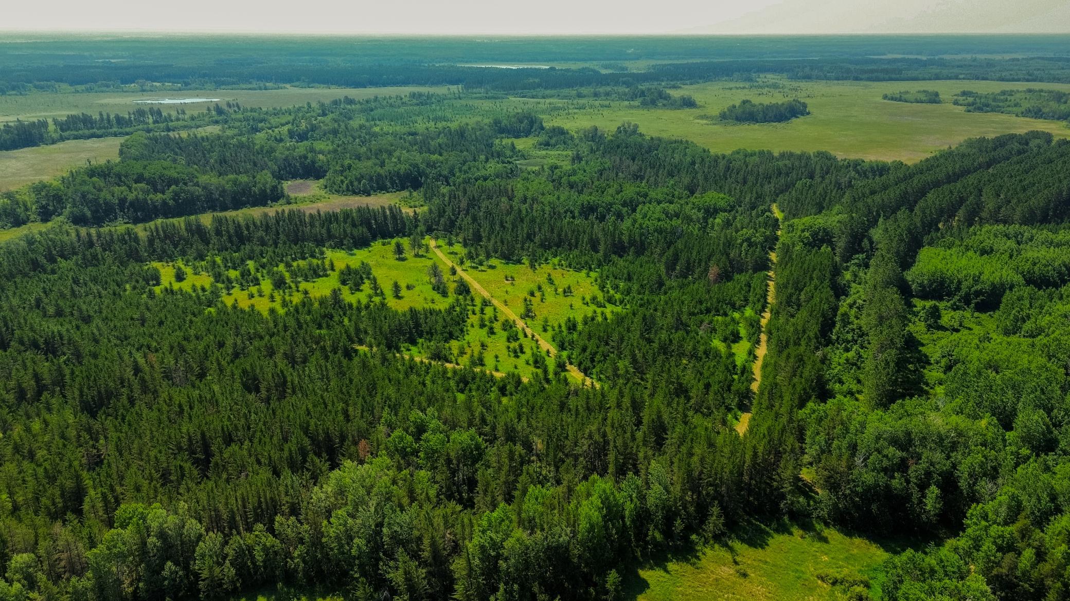 1st image of Tract 1   Tbd Hubbard Line Rd, Menahga, MN 56464 | MLS# 7116329