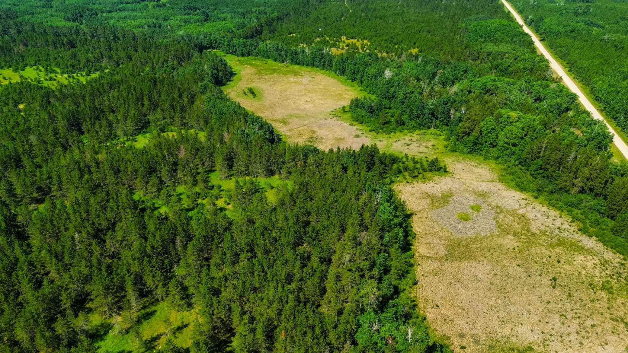 3rd image of Tract 1 - Tbd Hubbard Line Rd, Menahga, MN 56464 | MLS# 7116329