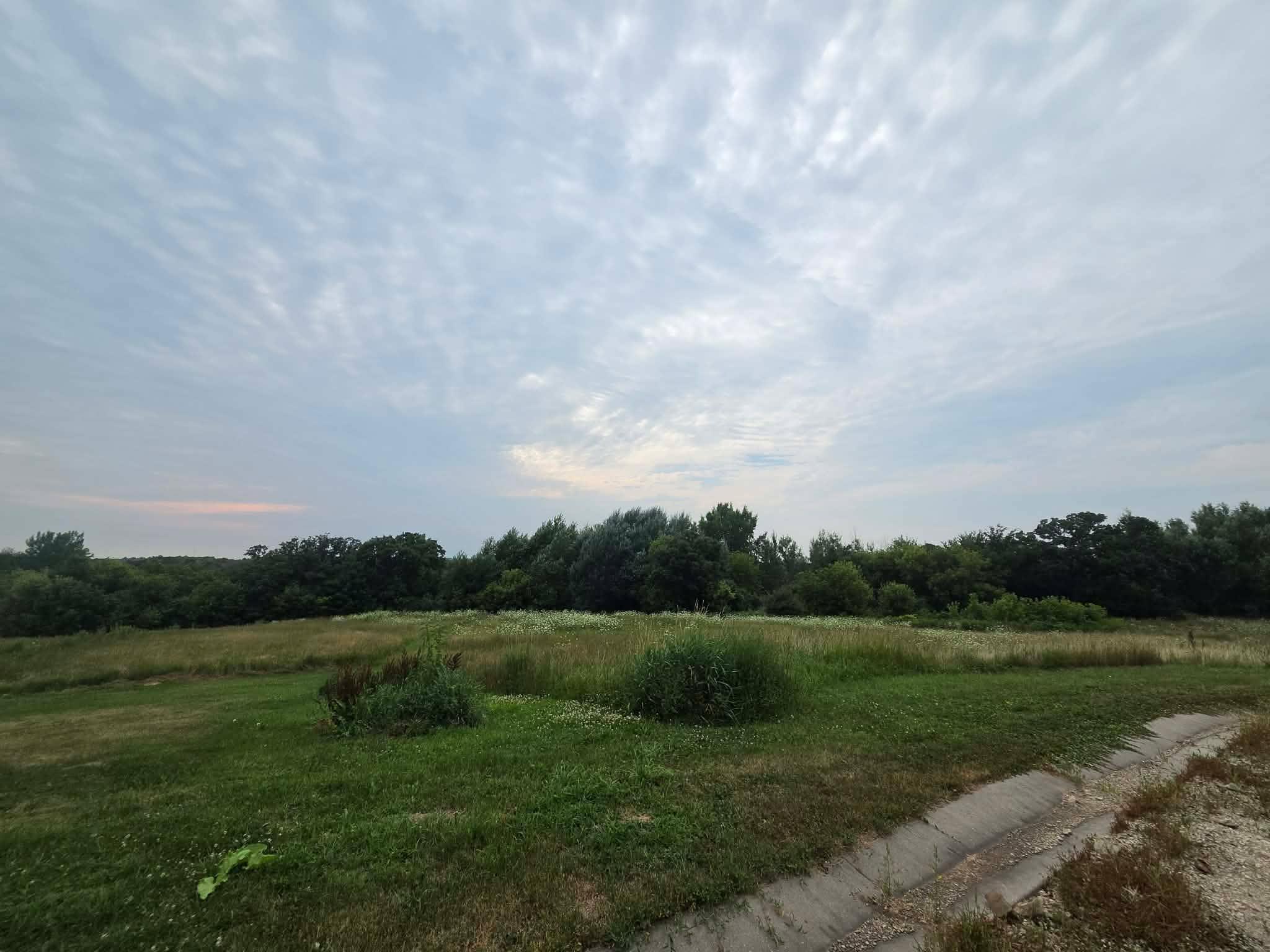 39th image of 23671 County Road 37, Saint Charles, MN 55972 | MLS# 7116381