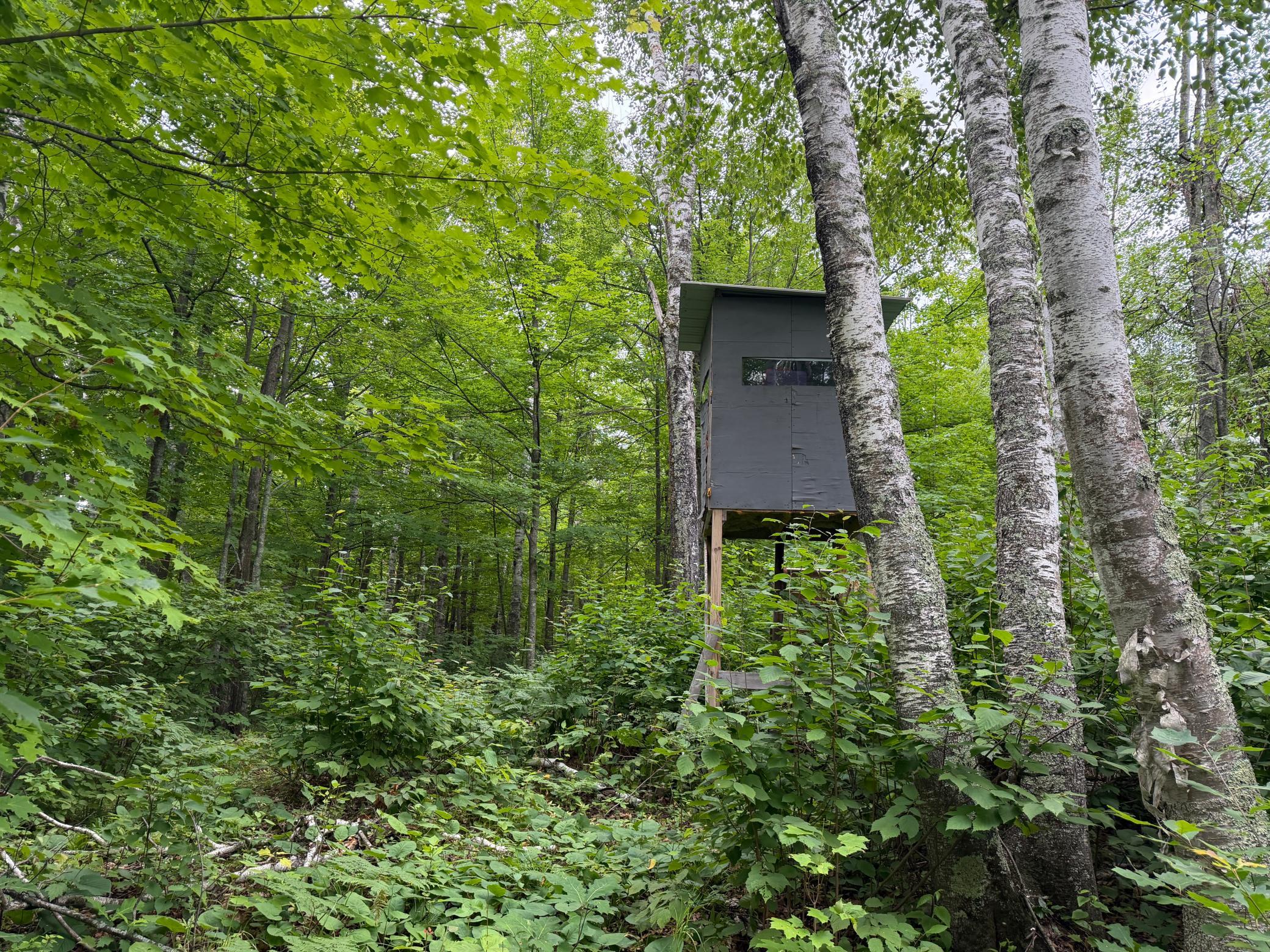1st image of Tbd Shady Pine Rd, Bruno, MN 55712 | MLS# 7116598