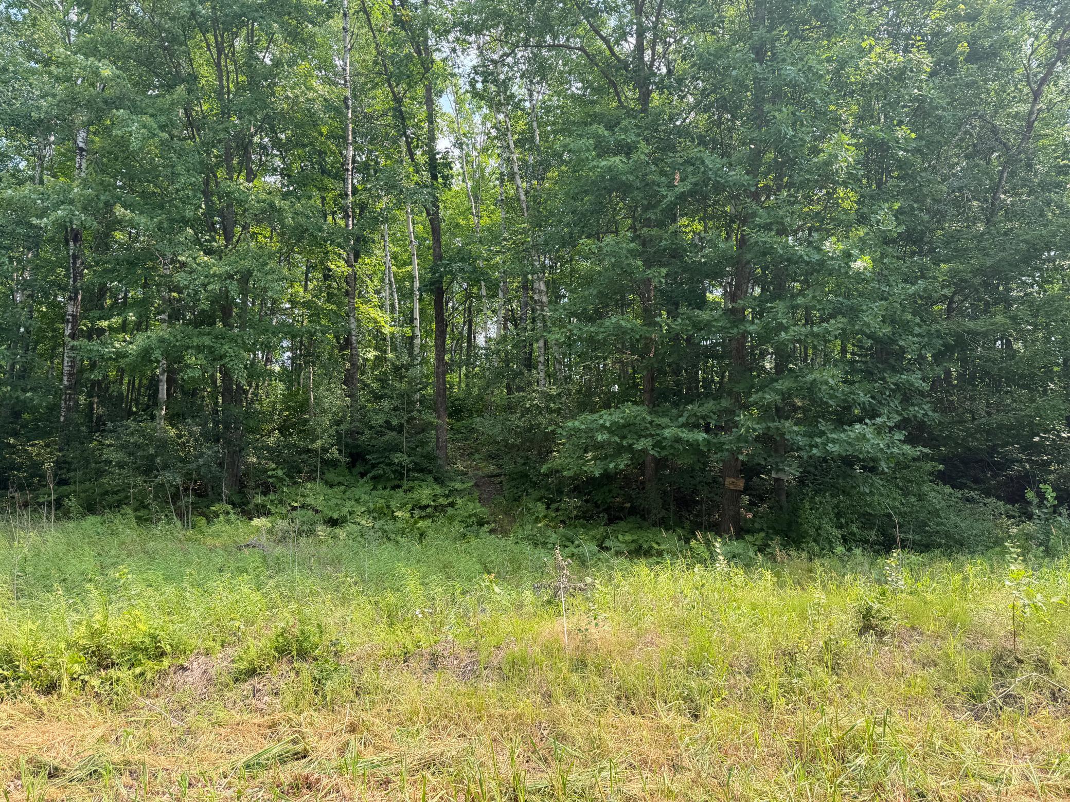 3rd image of Tbd Shady Pine Rd, Bruno, MN 55712 | MLS# 7116598