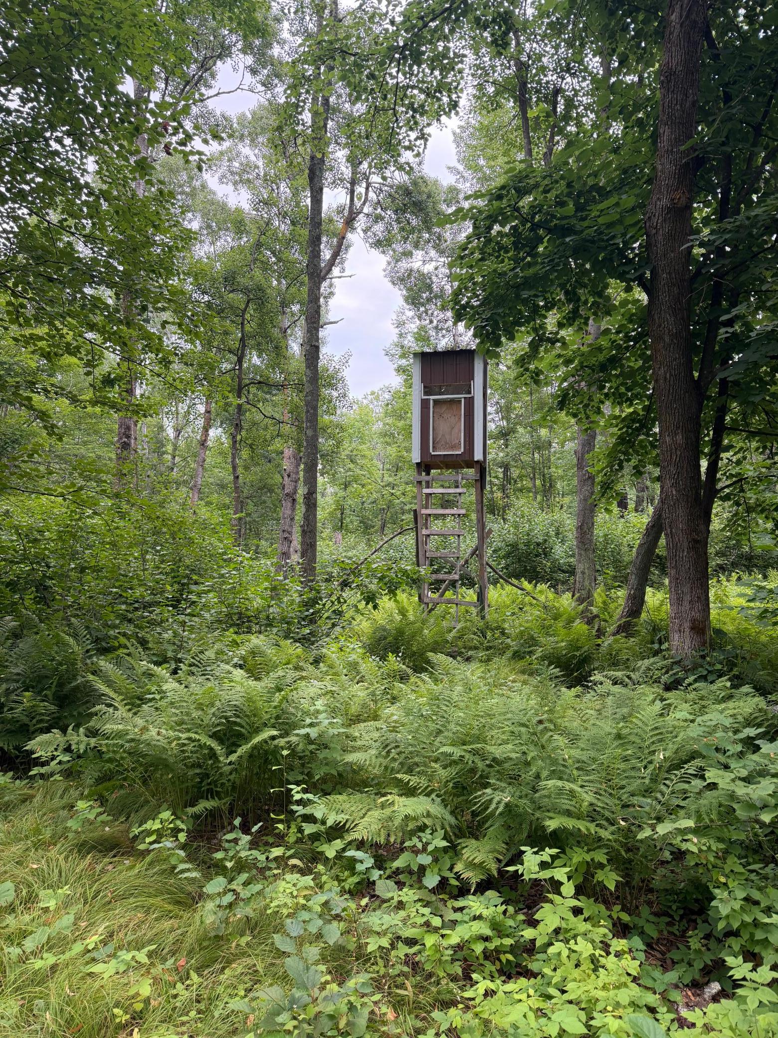 5th image of Tbd Shady Pine Rd, Bruno, MN 55712 | MLS# 7116598
