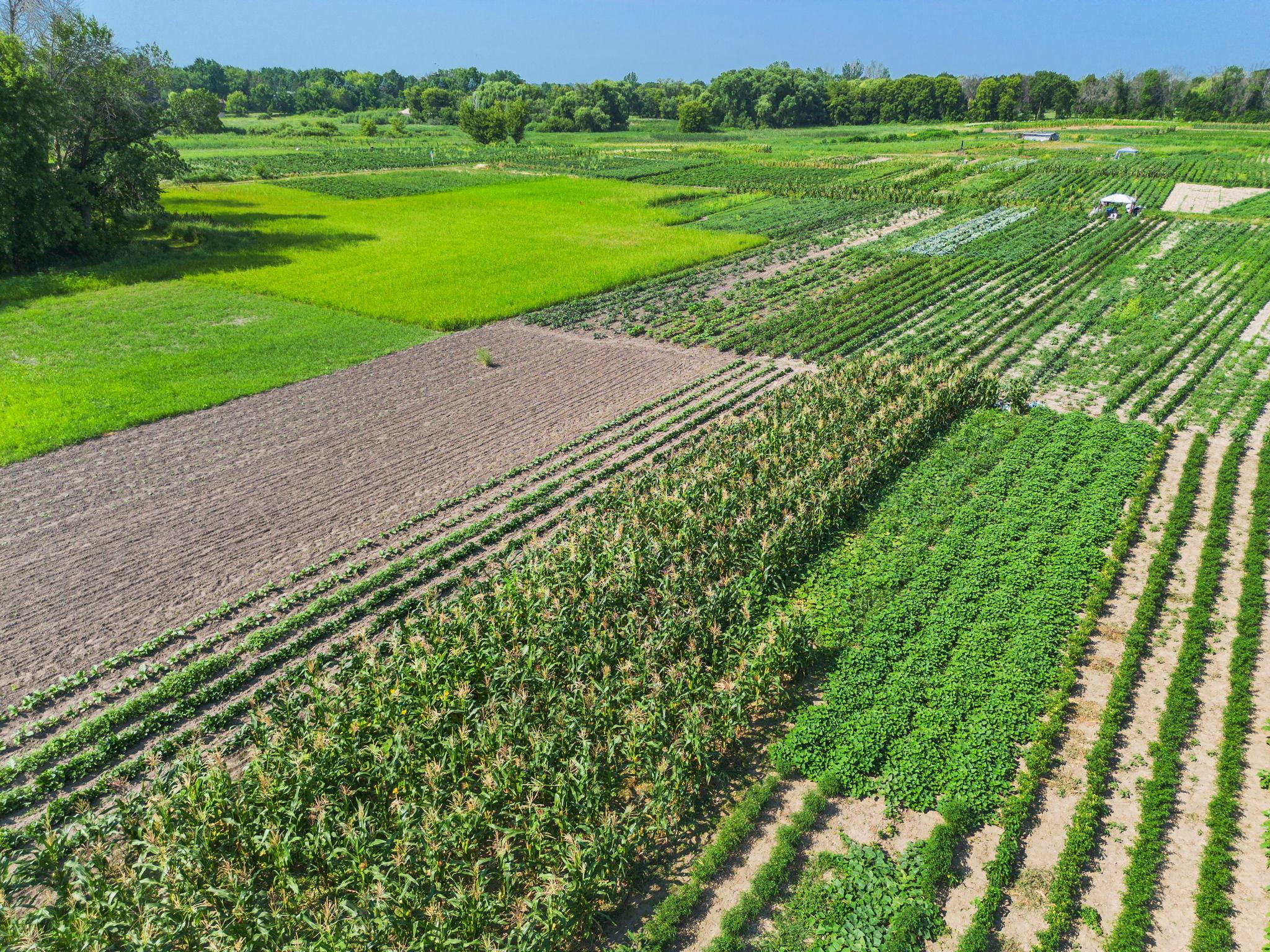 2nd image of 10625 County Road 116, Rogers, MN 55374 | MLS# 7116783