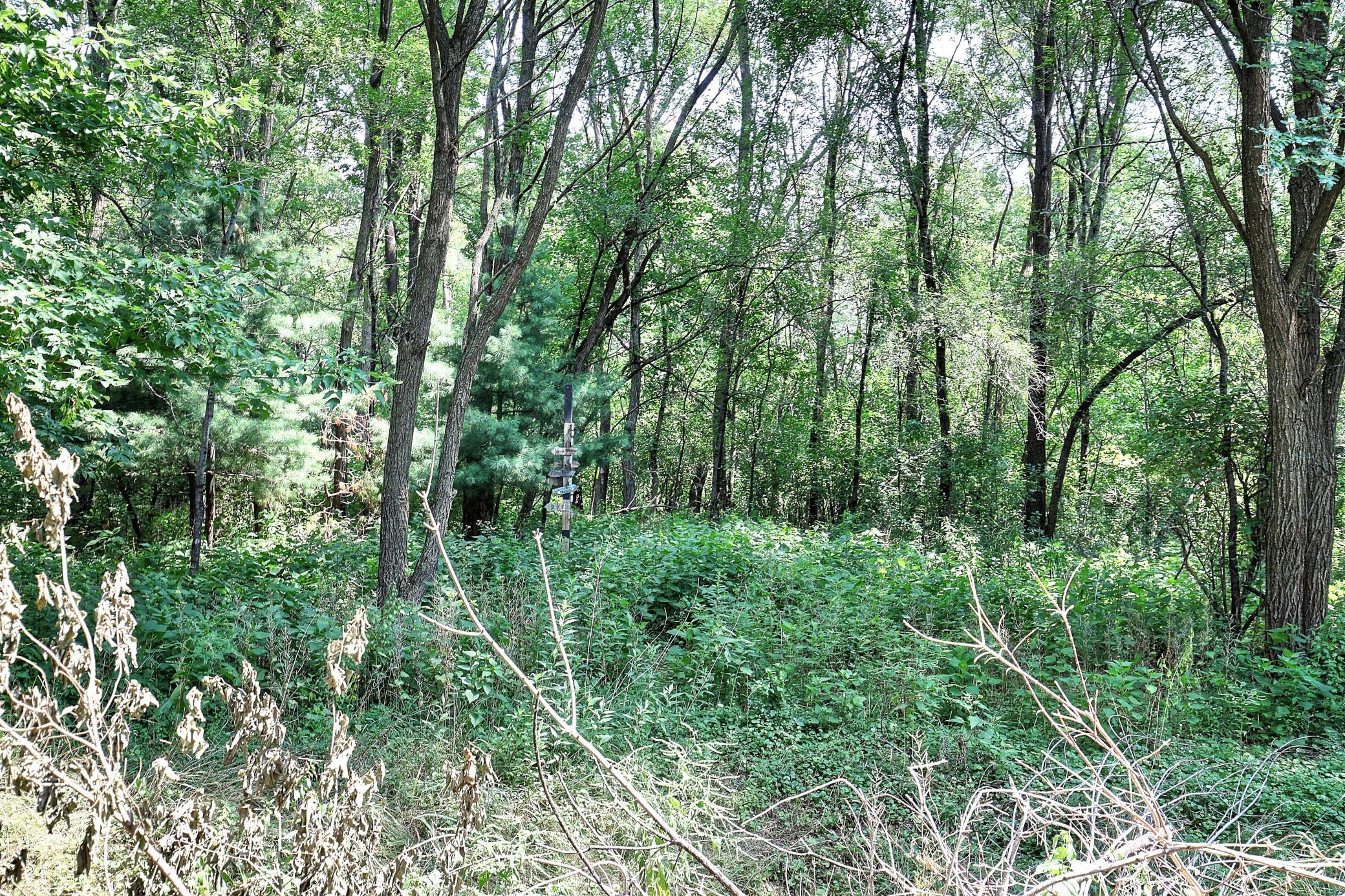 42nd image of 13513 Crooked Lake Blvd Nw, Andover, MN 55304 | MLS# 7117011