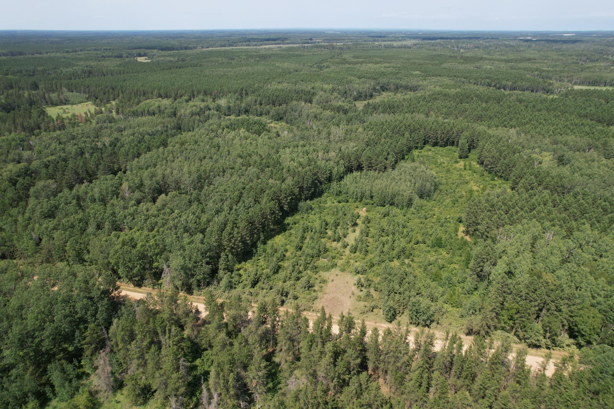 53rd image of 29910 County 109, Menahga, MN 56464 | MLS# 7117033